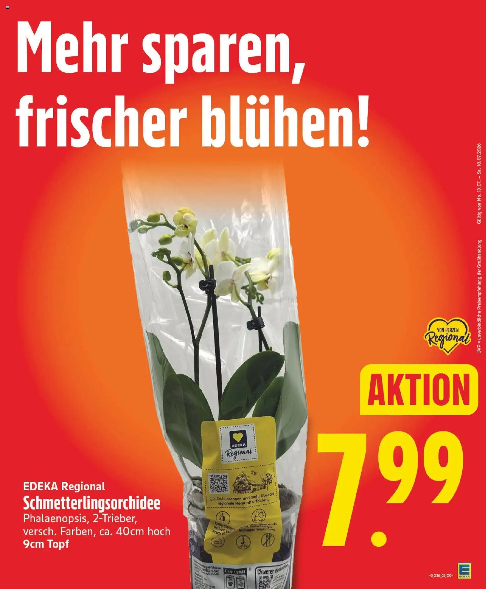 Edeka Prospekt