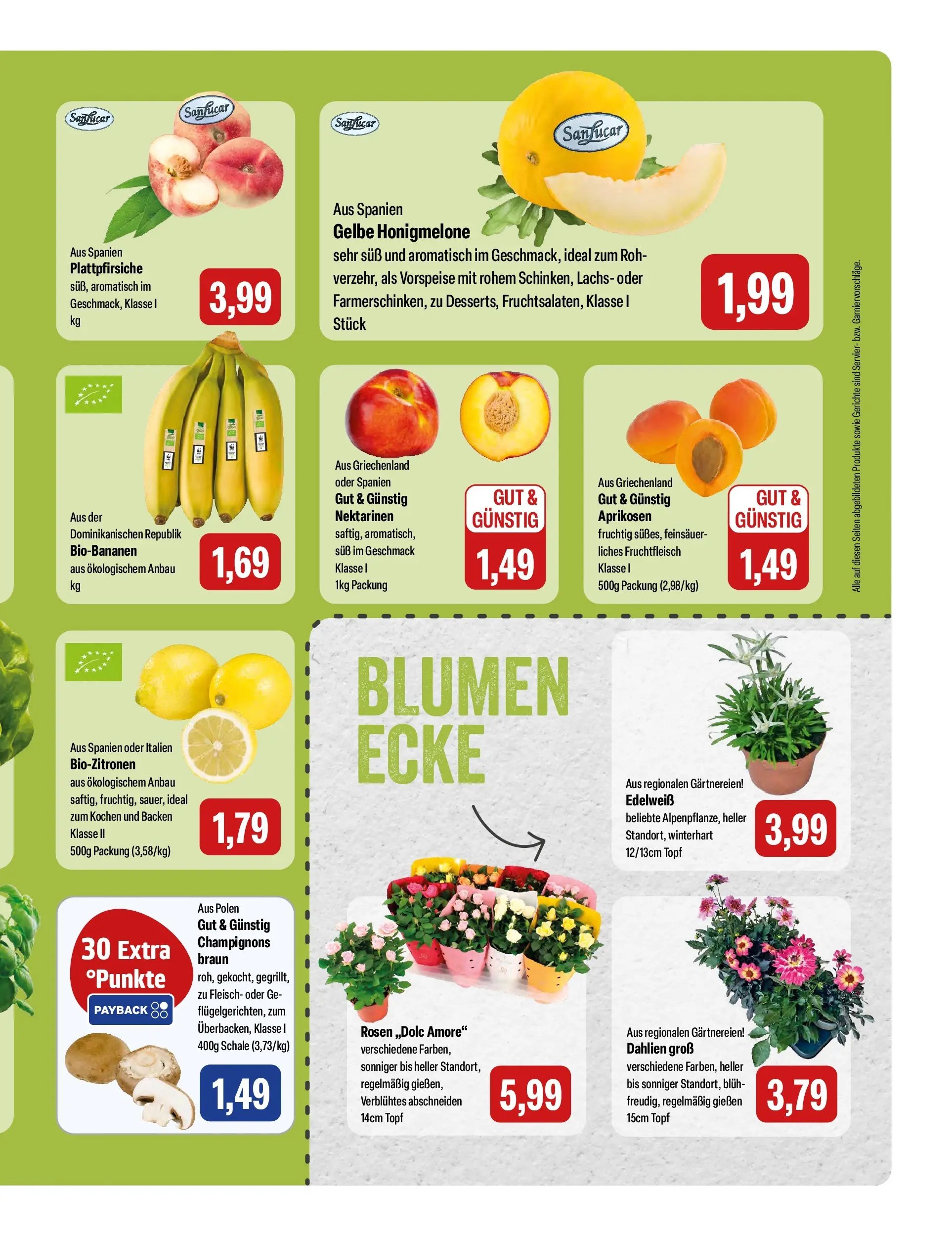 Feneberg Aktuelle Angebote