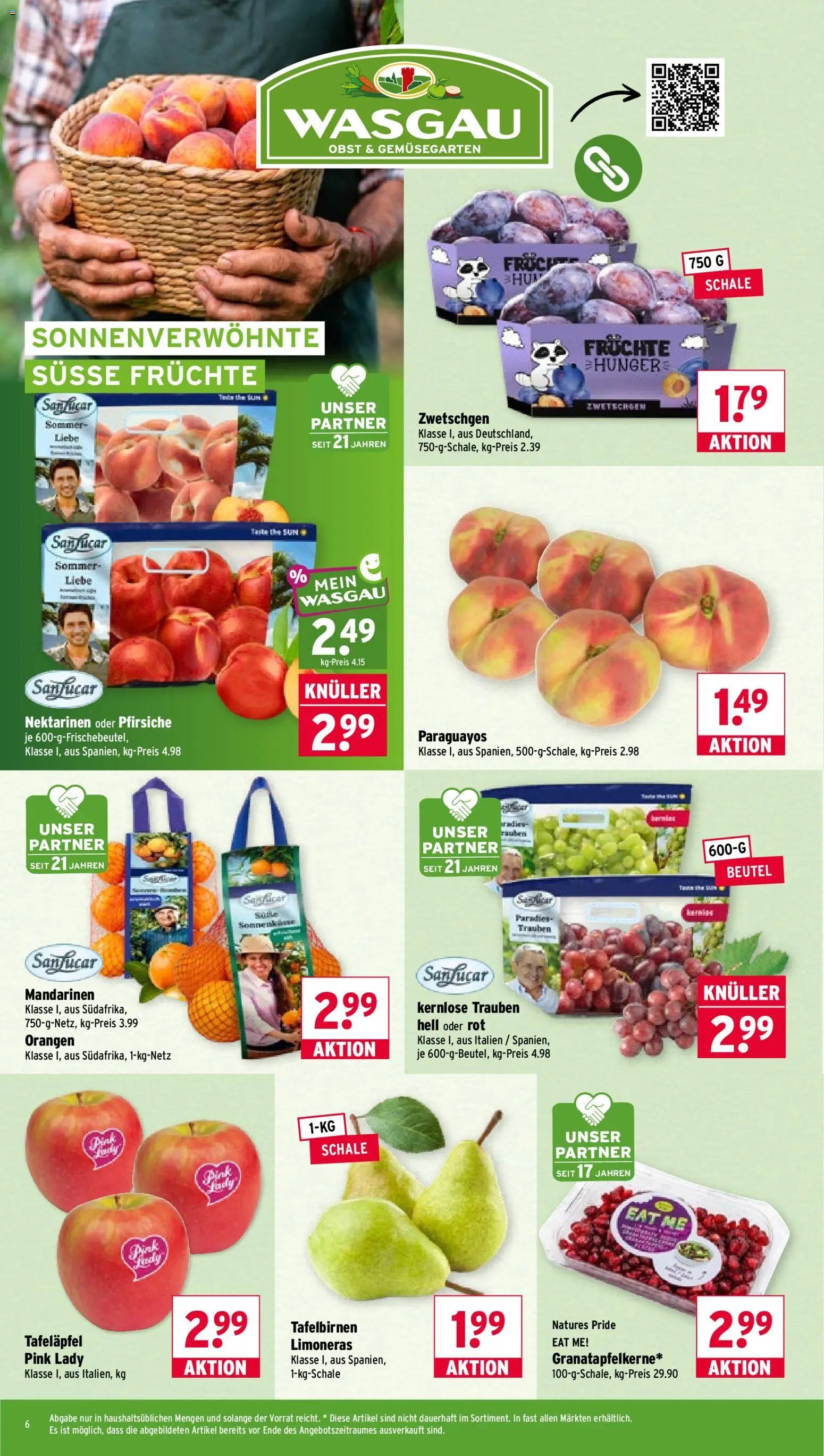 Wasgau Prospekt