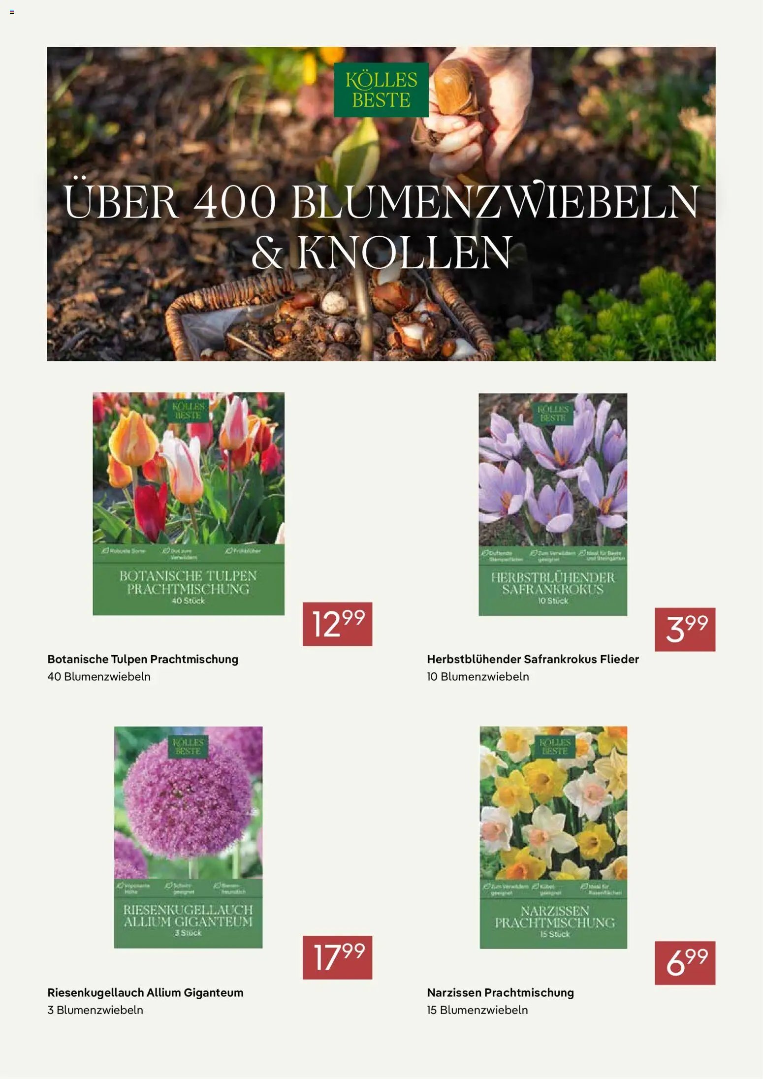 Pflanzen-Kölle Prospekt