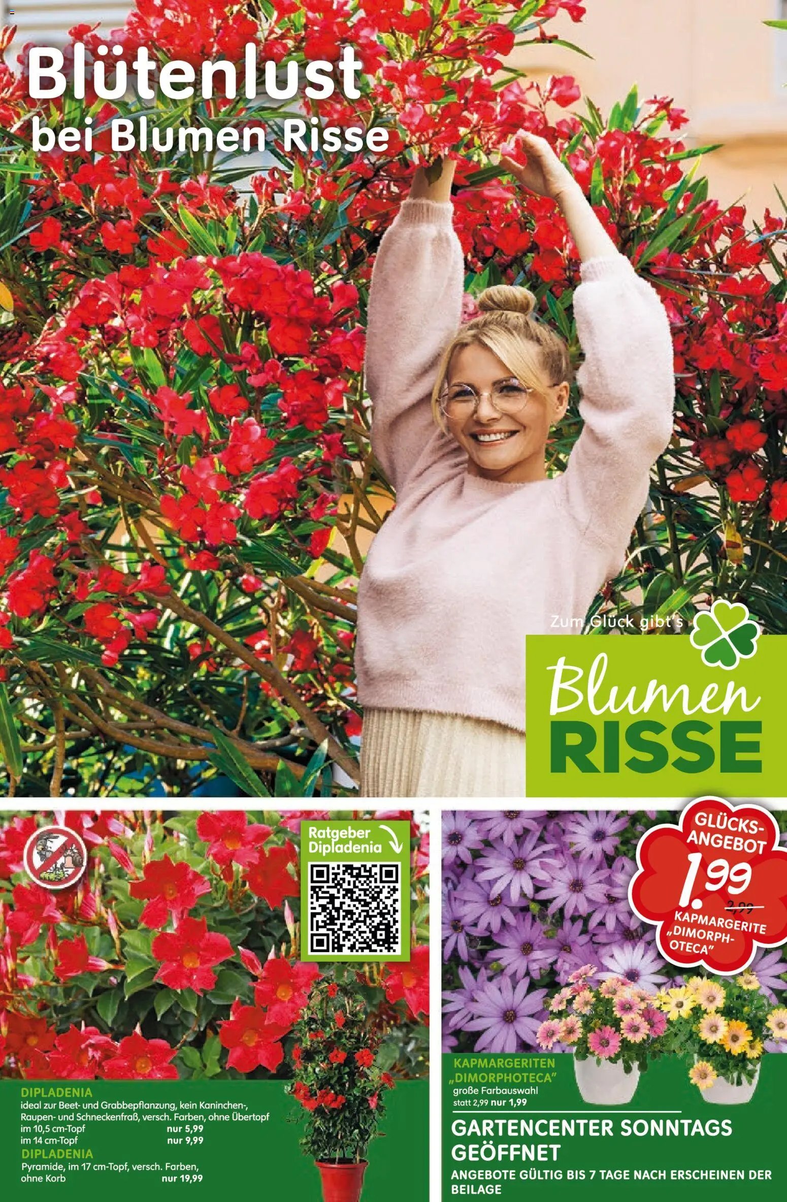 Blumen Risse Prospekt