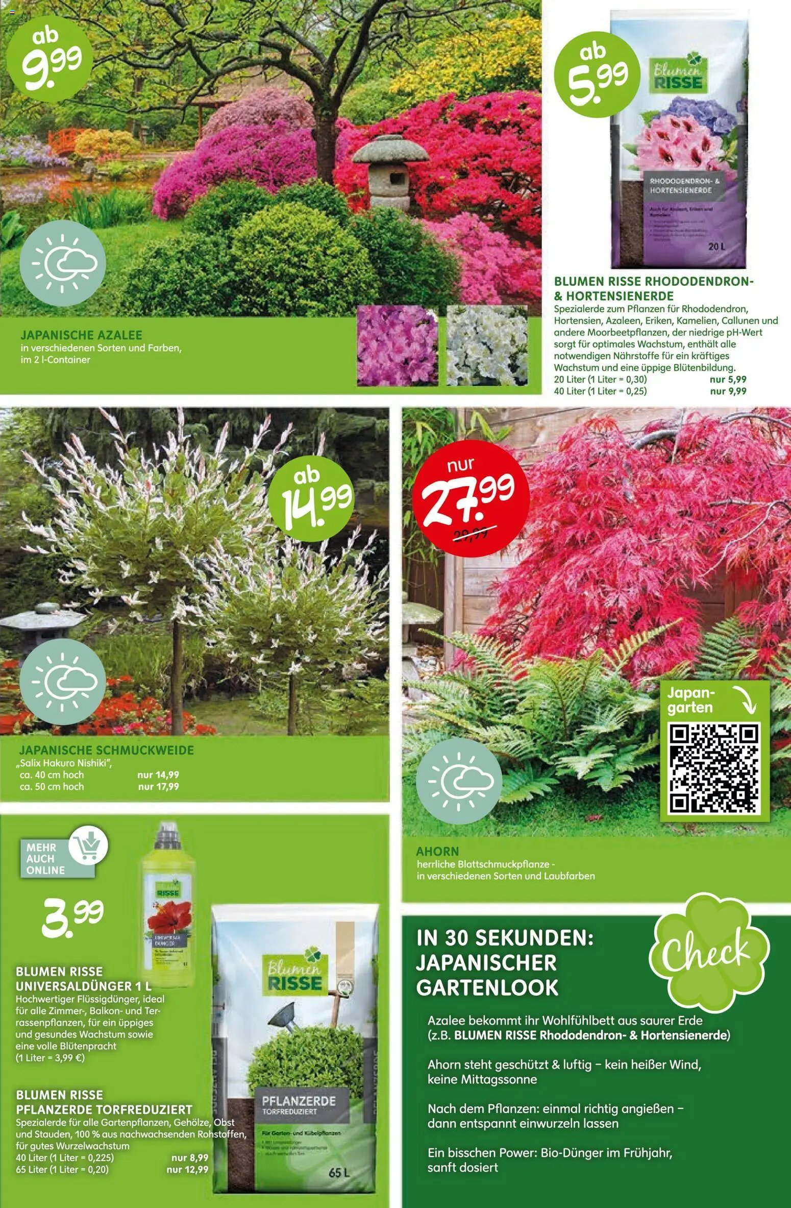Blumen Risse Prospekt