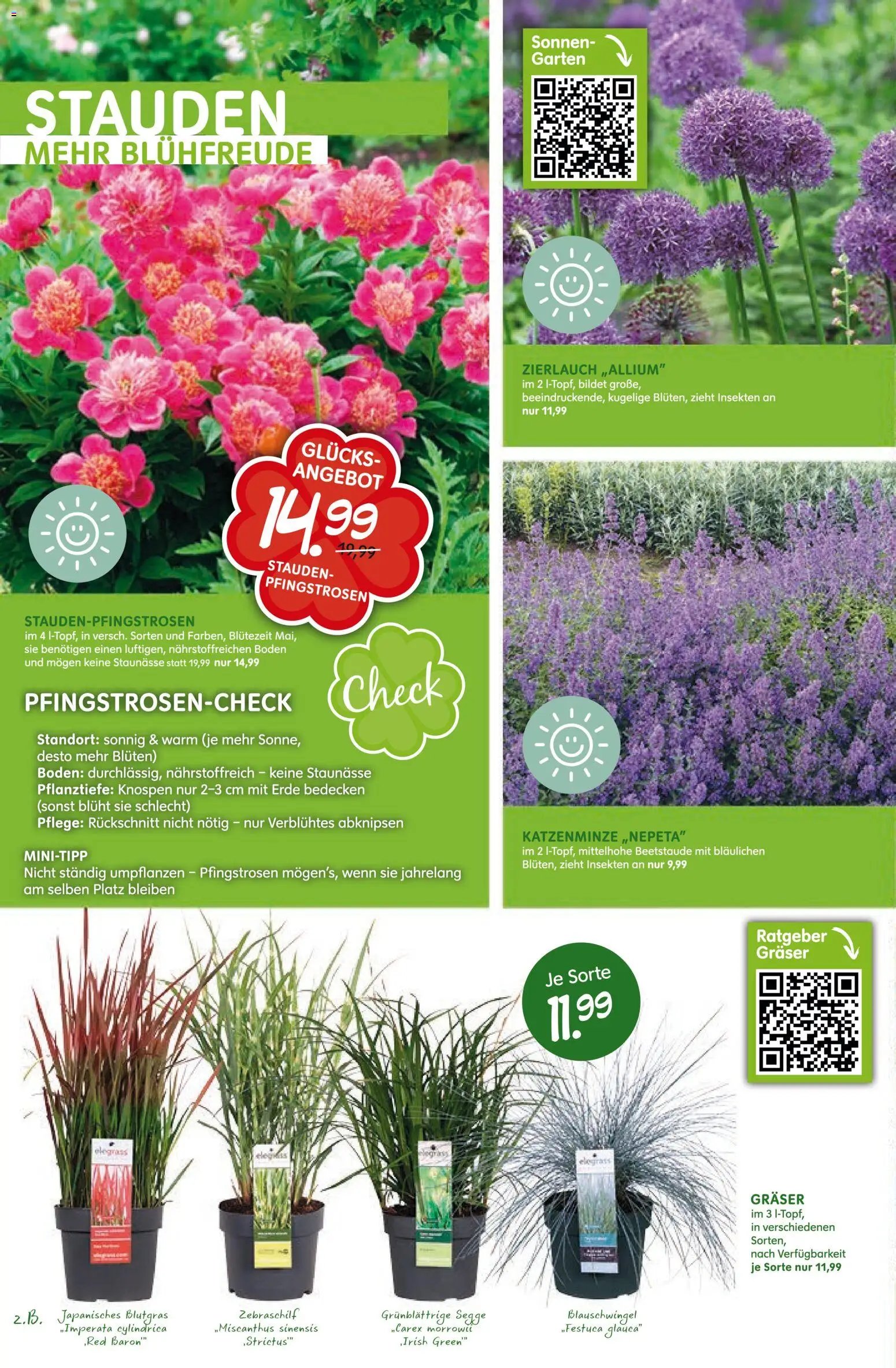 Blumen Risse Prospekt