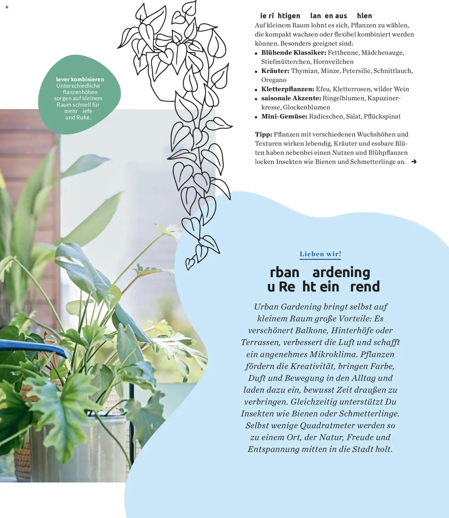 Budni Perle Magazin 03/26