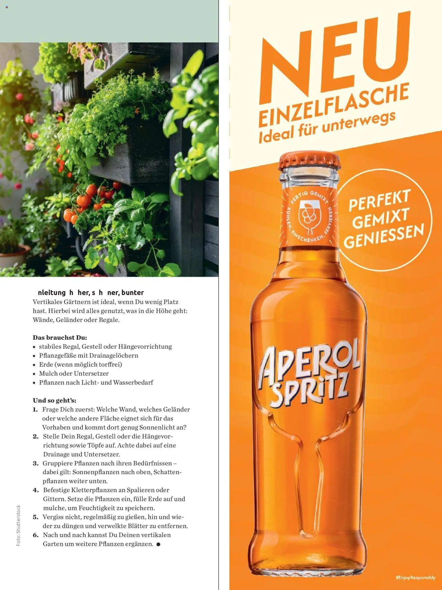 Budni Perle Magazin 03/26