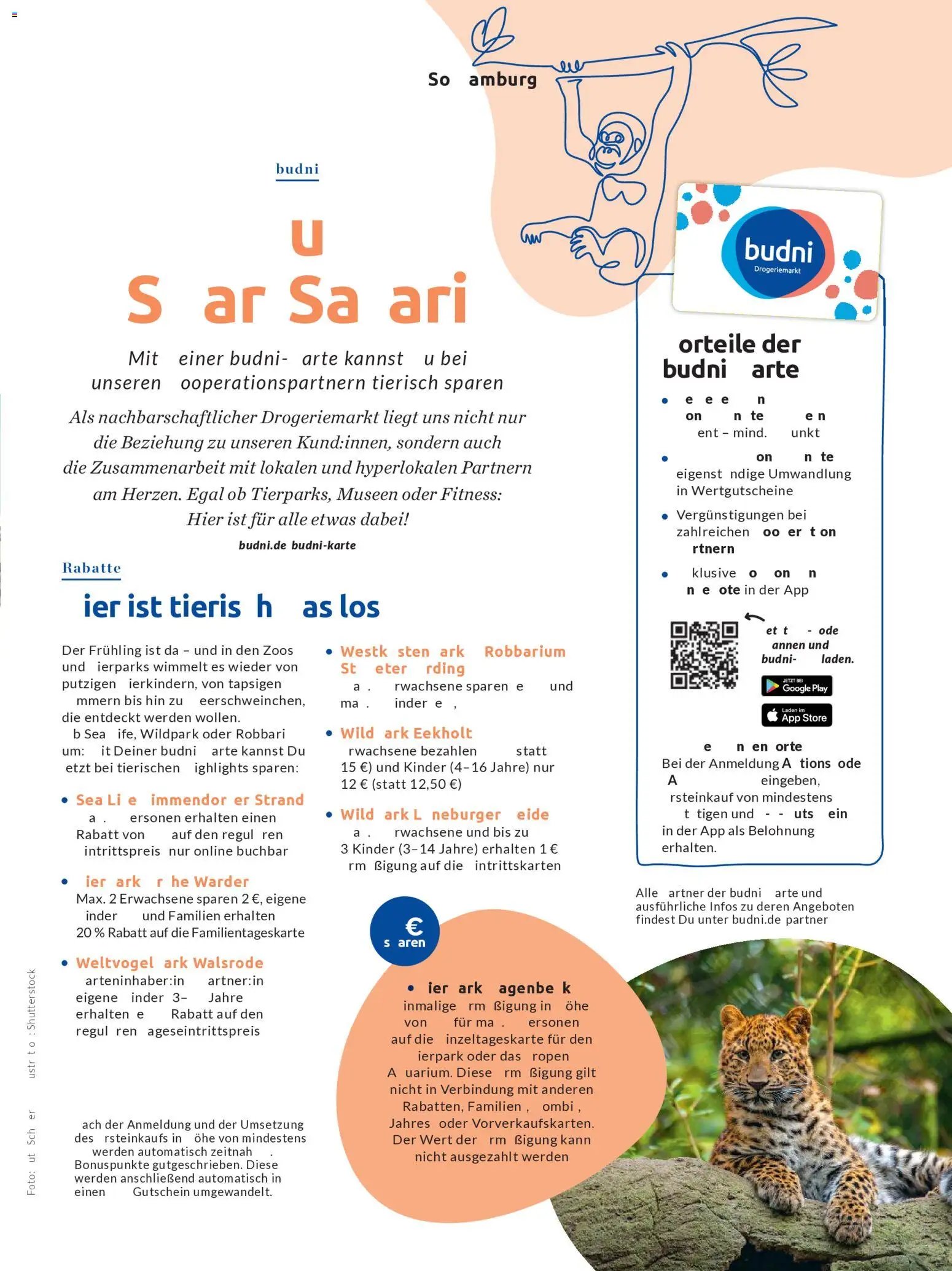 Budni Perle Magazin 03/26