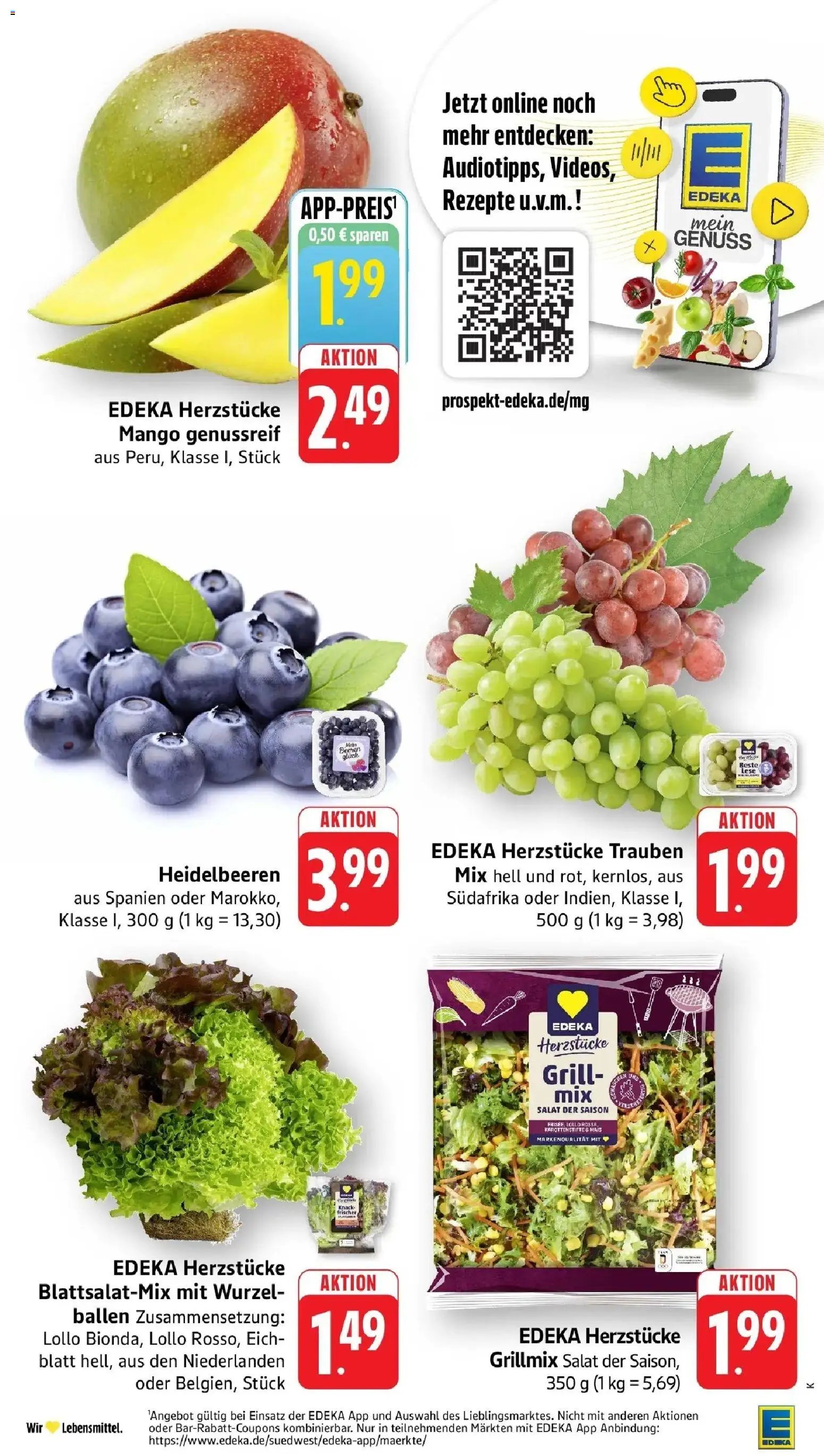 E center Prospekt Kehl	