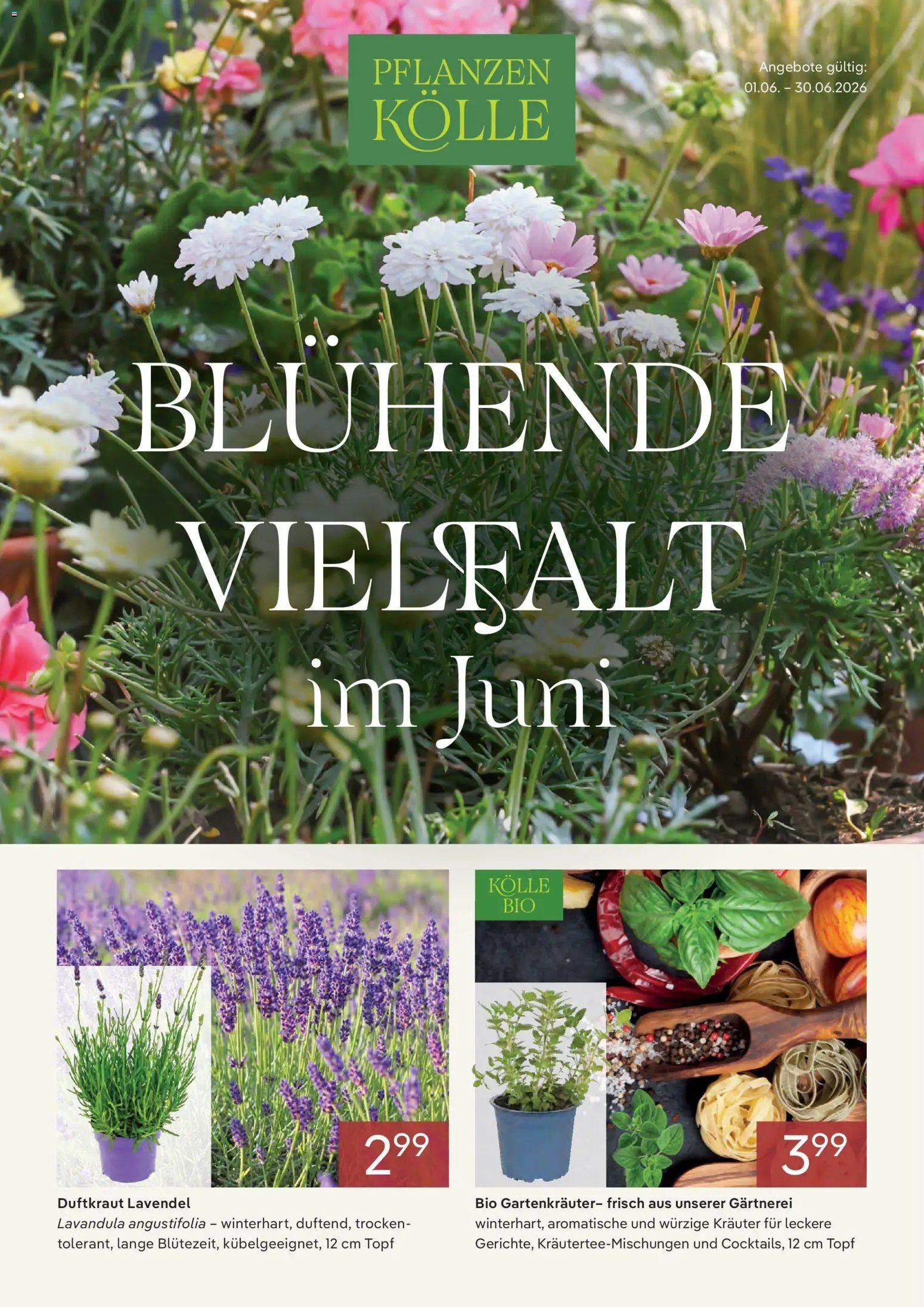 Pflanzen-Kölle Onlineflyer  Juni