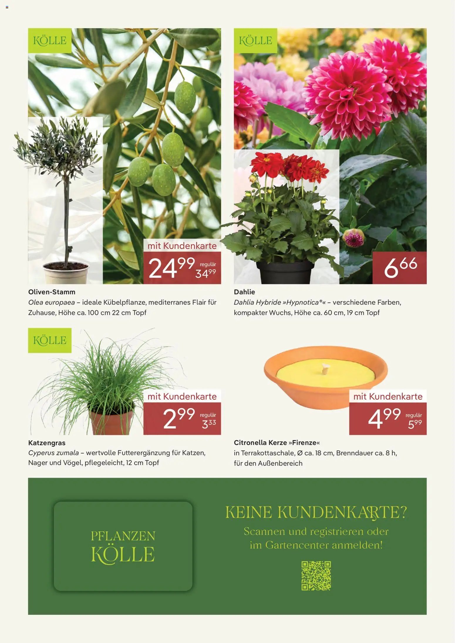 Pflanzen-Kölle Onlineflyer  Juni