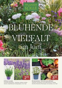 Pflanzen-Kölle Onlineflyer  Juni