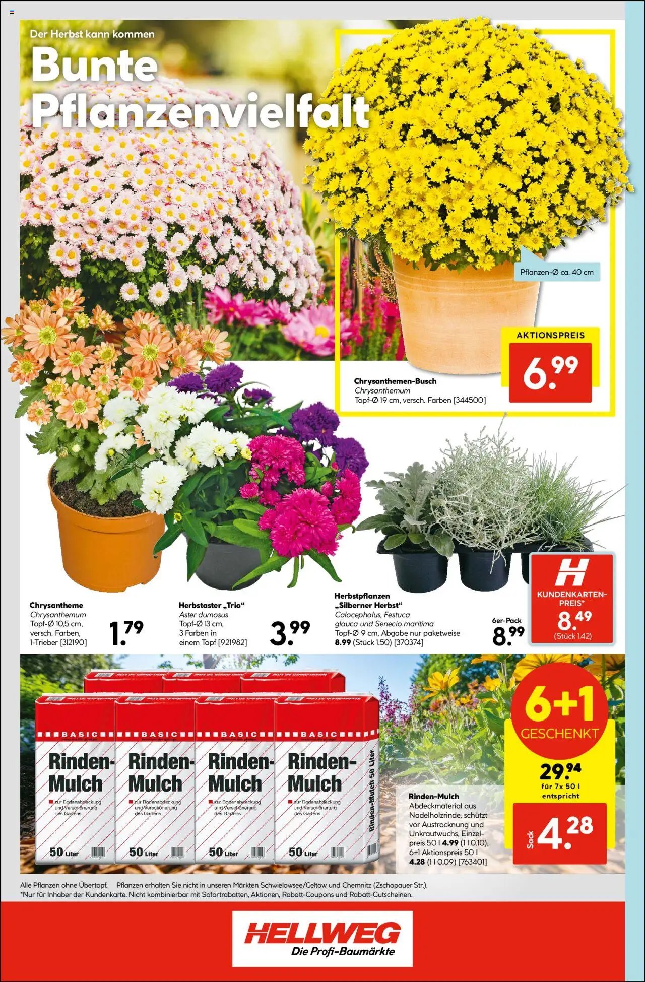 Hellweg Prospekt 	 (2025-08-18 - 2025-08-23) | 16