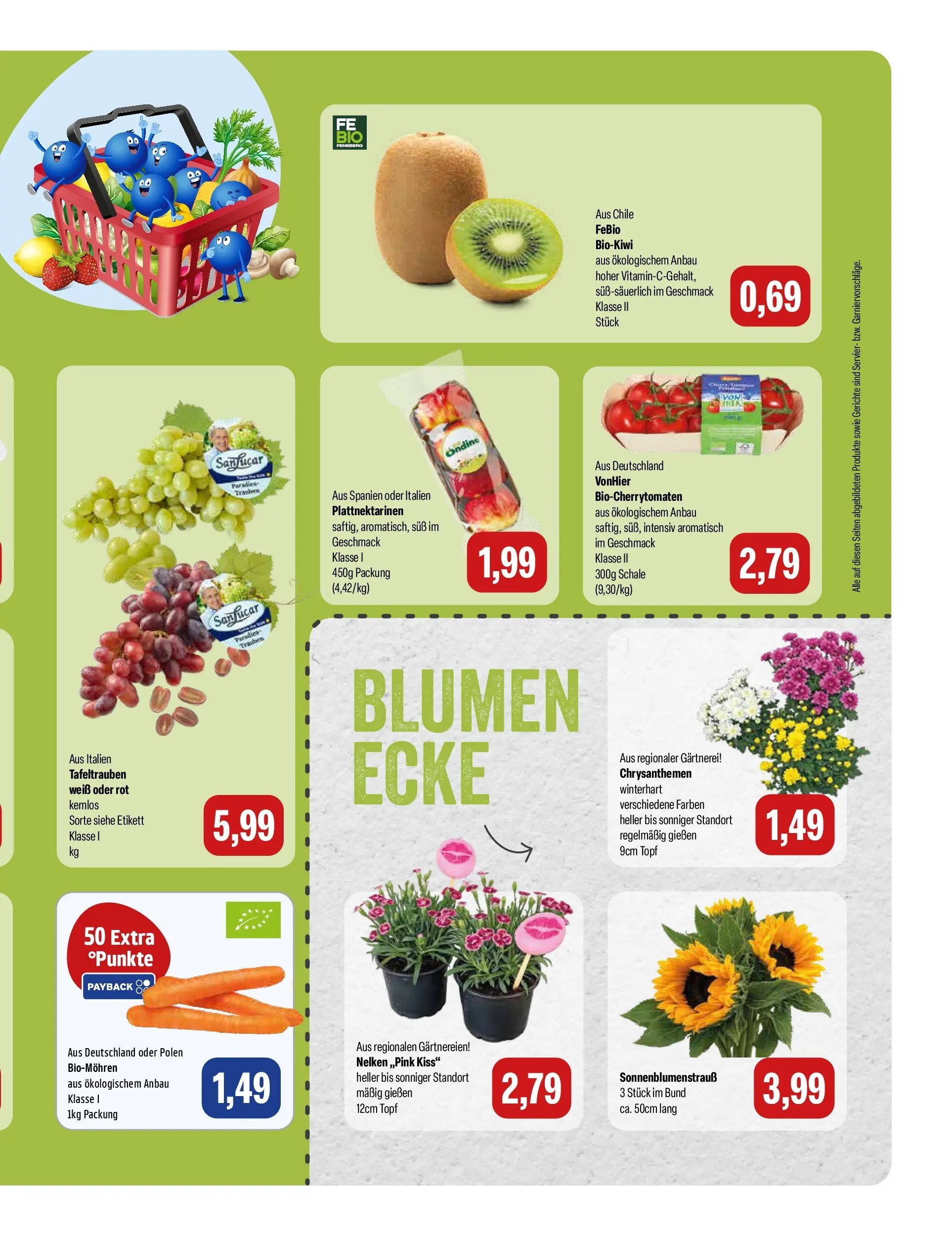 Feneberg Aktuelle Angebote