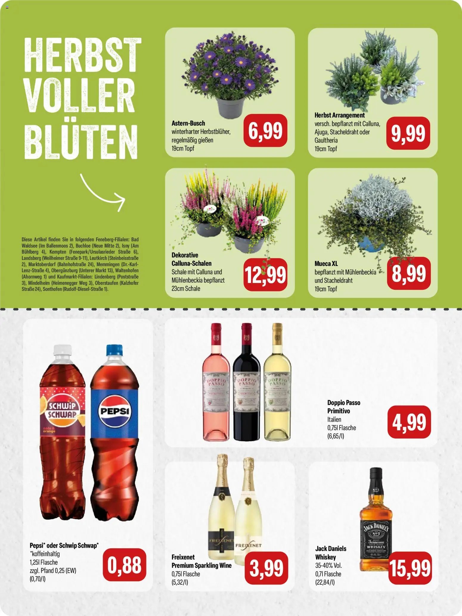 Feneberg Angebote