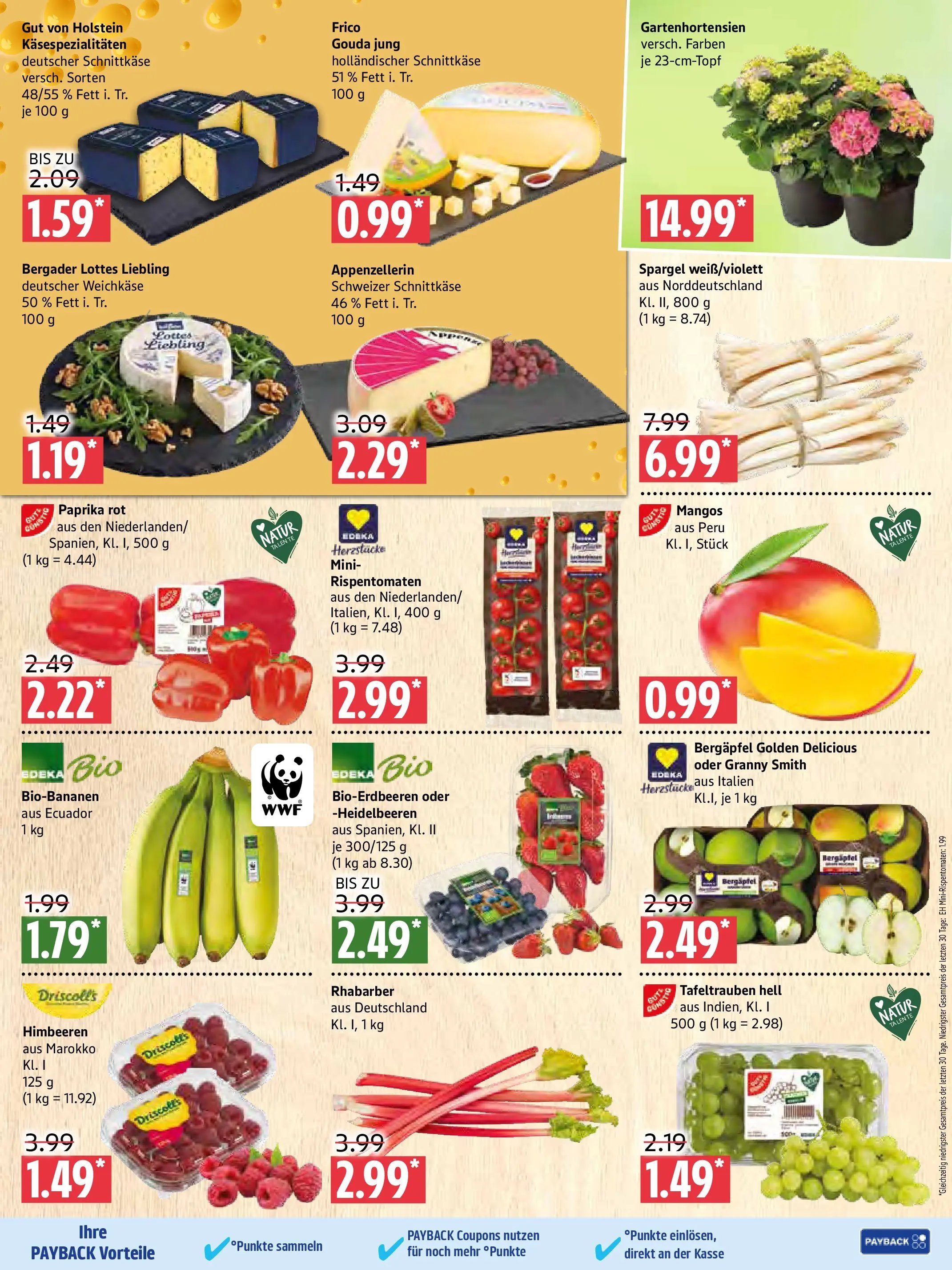 Marktkauf Prospekt Prenzlau	