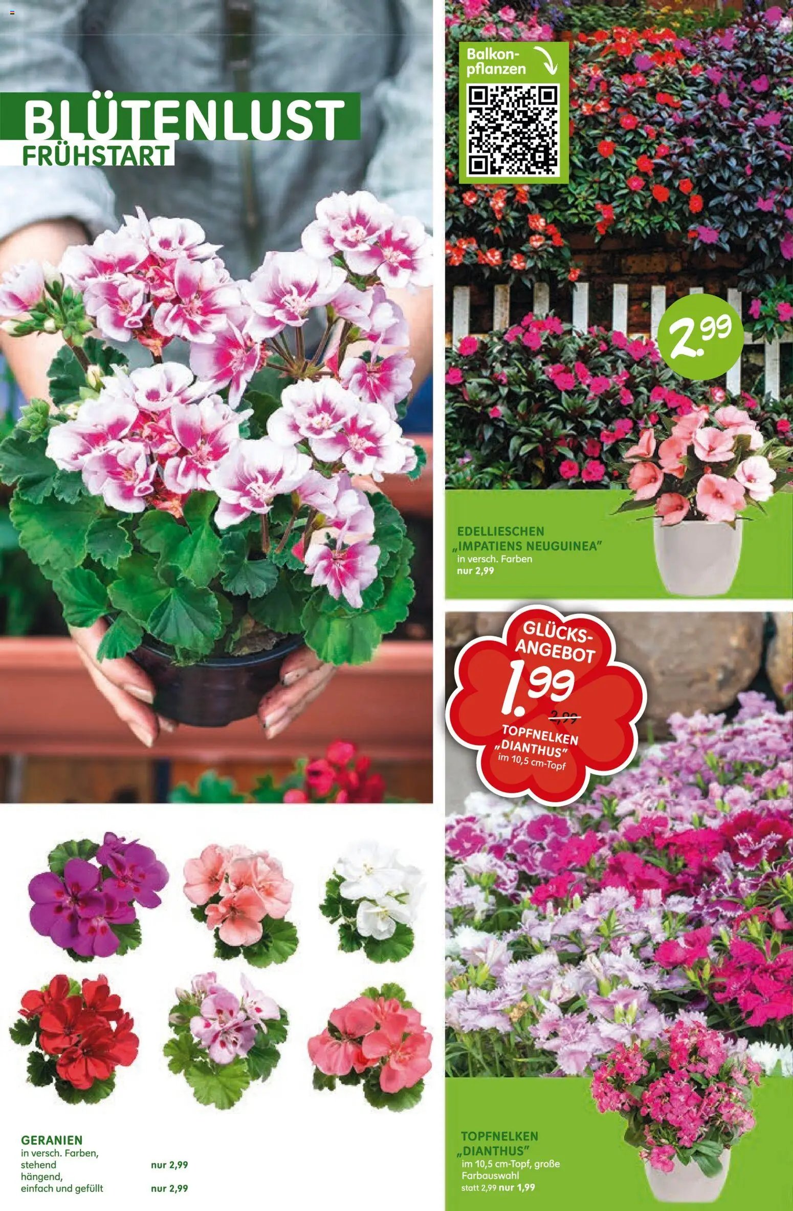 Blumen Risse Prospekt Blumenmarkt