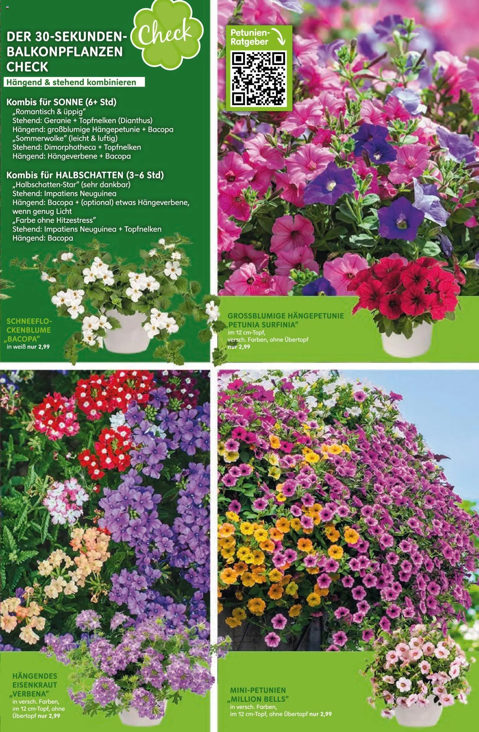 Blumen Risse Prospekt Blumenmarkt