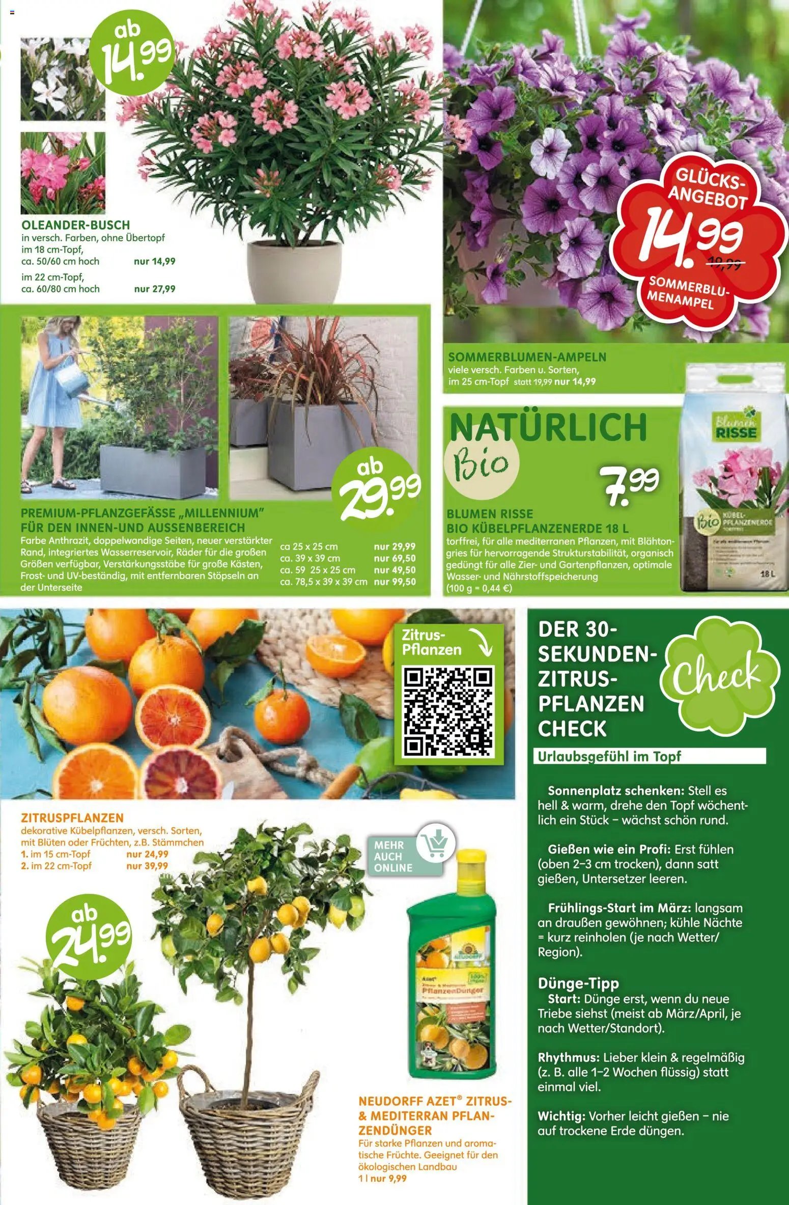 Blumen Risse Prospekt Blumenmarkt