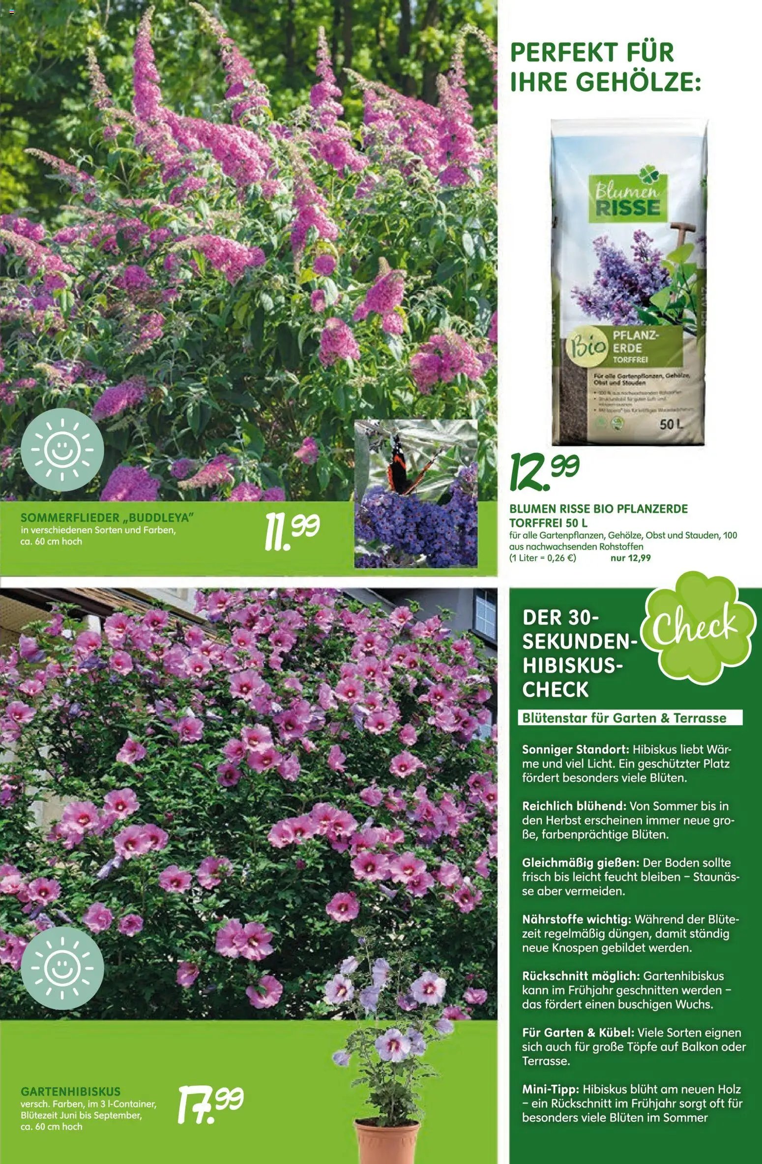 Blumen Risse Prospekt Blumenmarkt