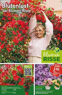 Blumen Risse Prospekt Blumenmarkt