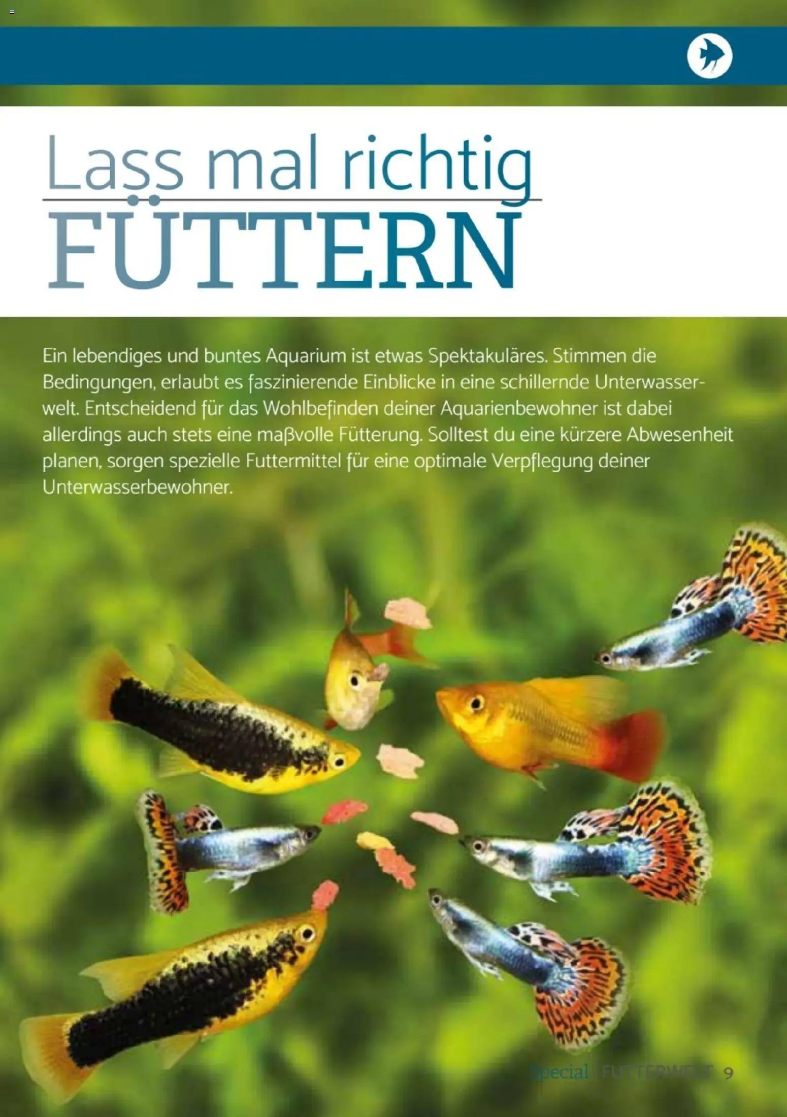 zookauf Heimtier Journal Special