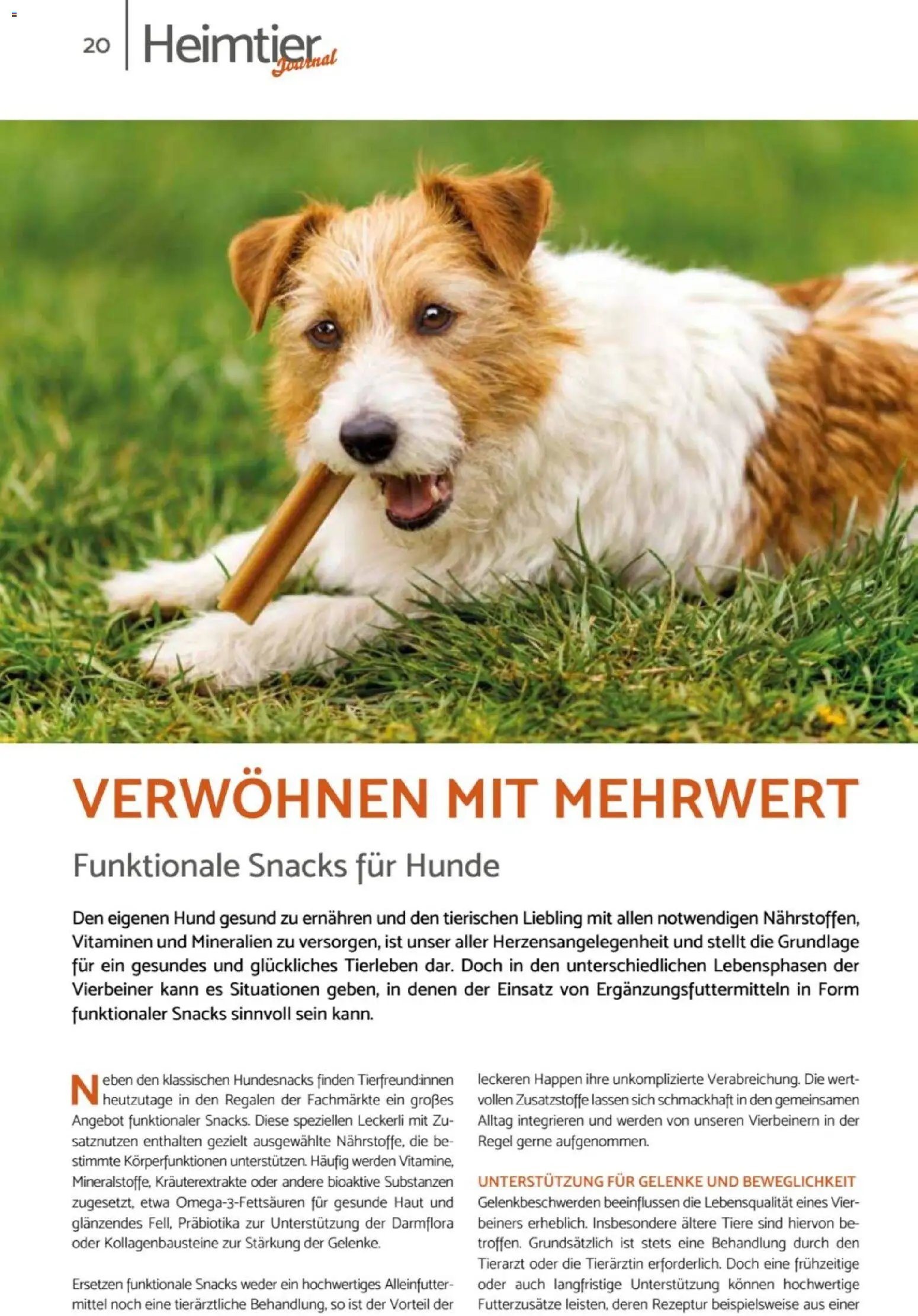 zookauf Heimtier Journal