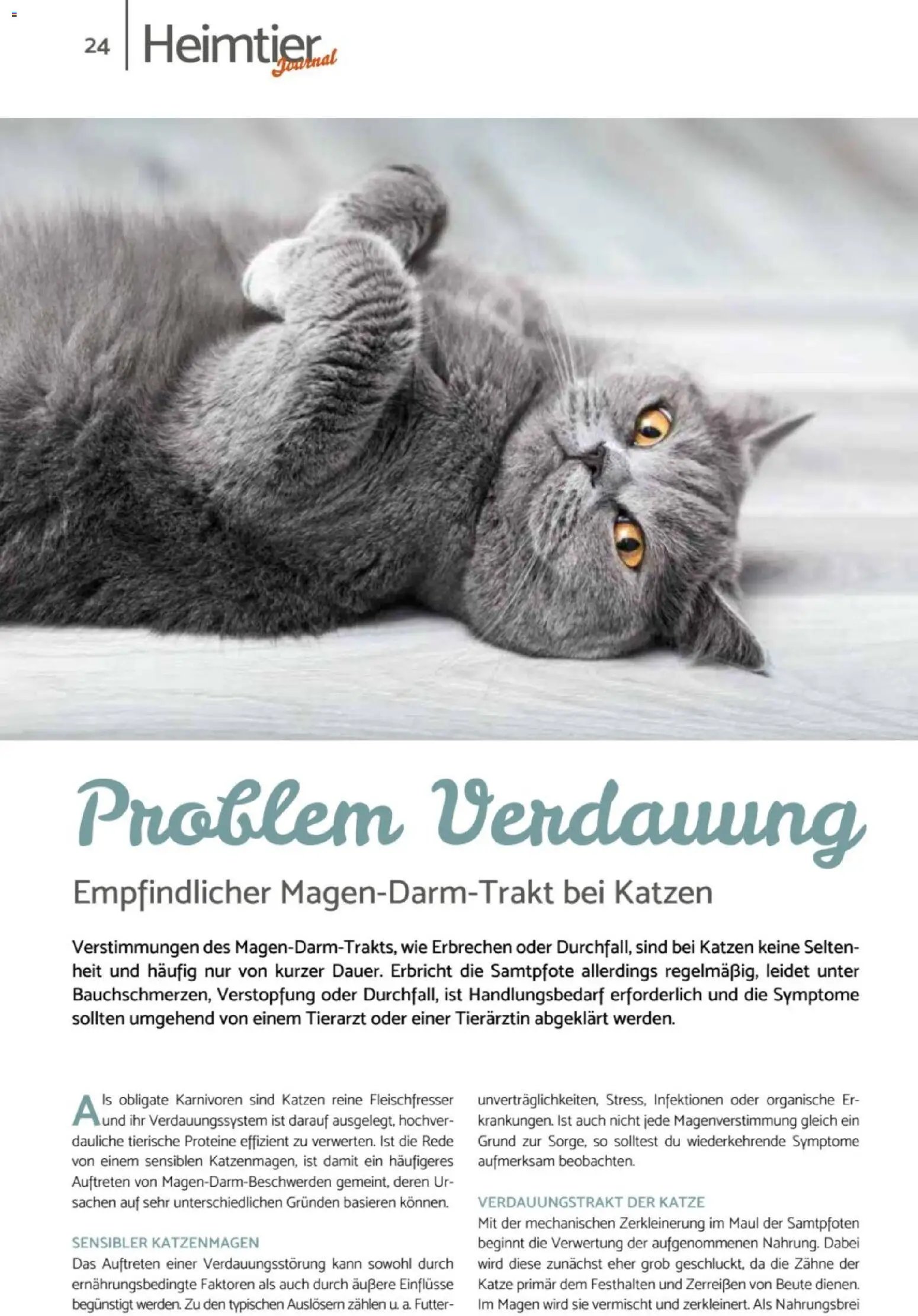 zookauf Heimtier Journal