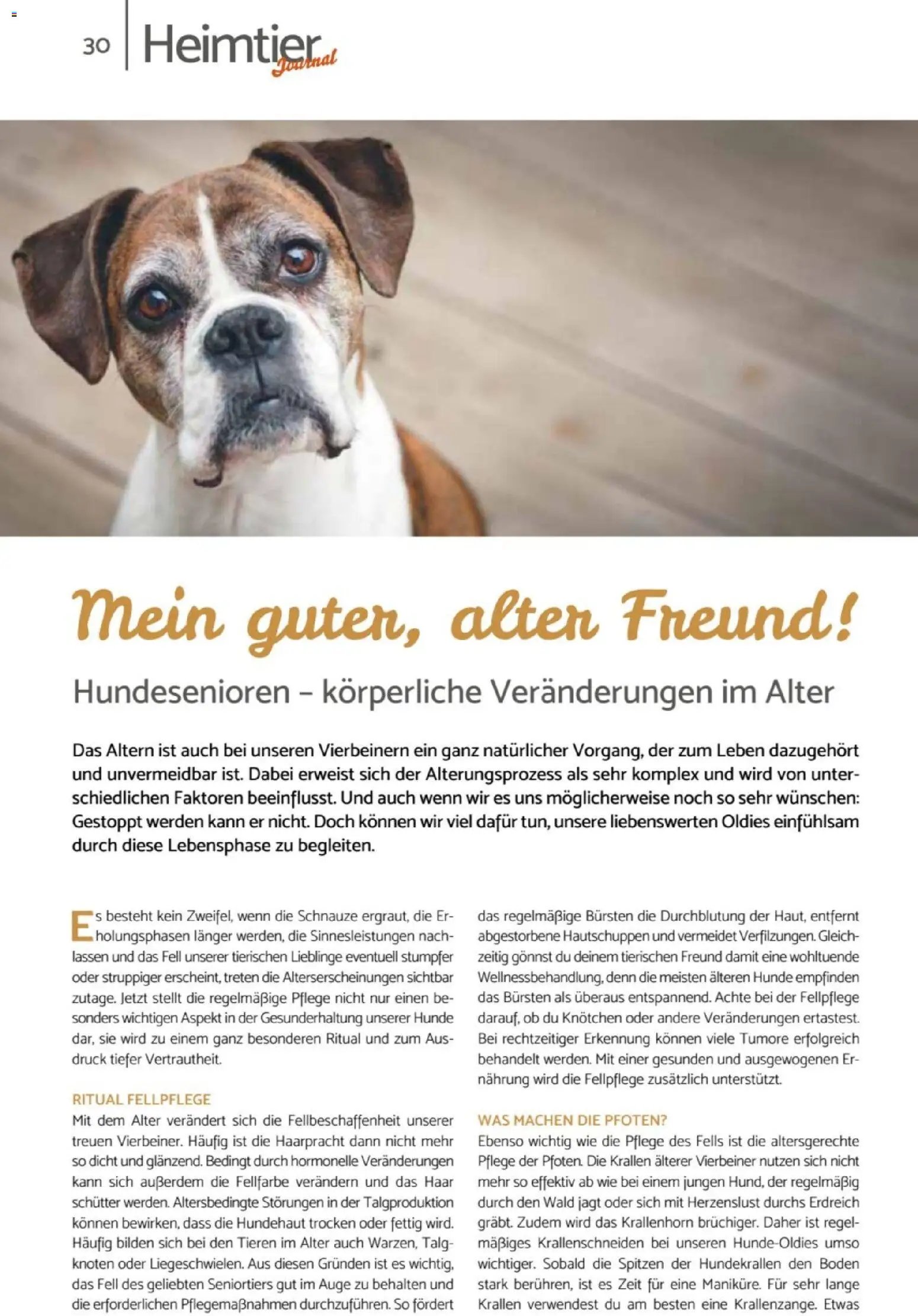 zookauf Heimtier Journal