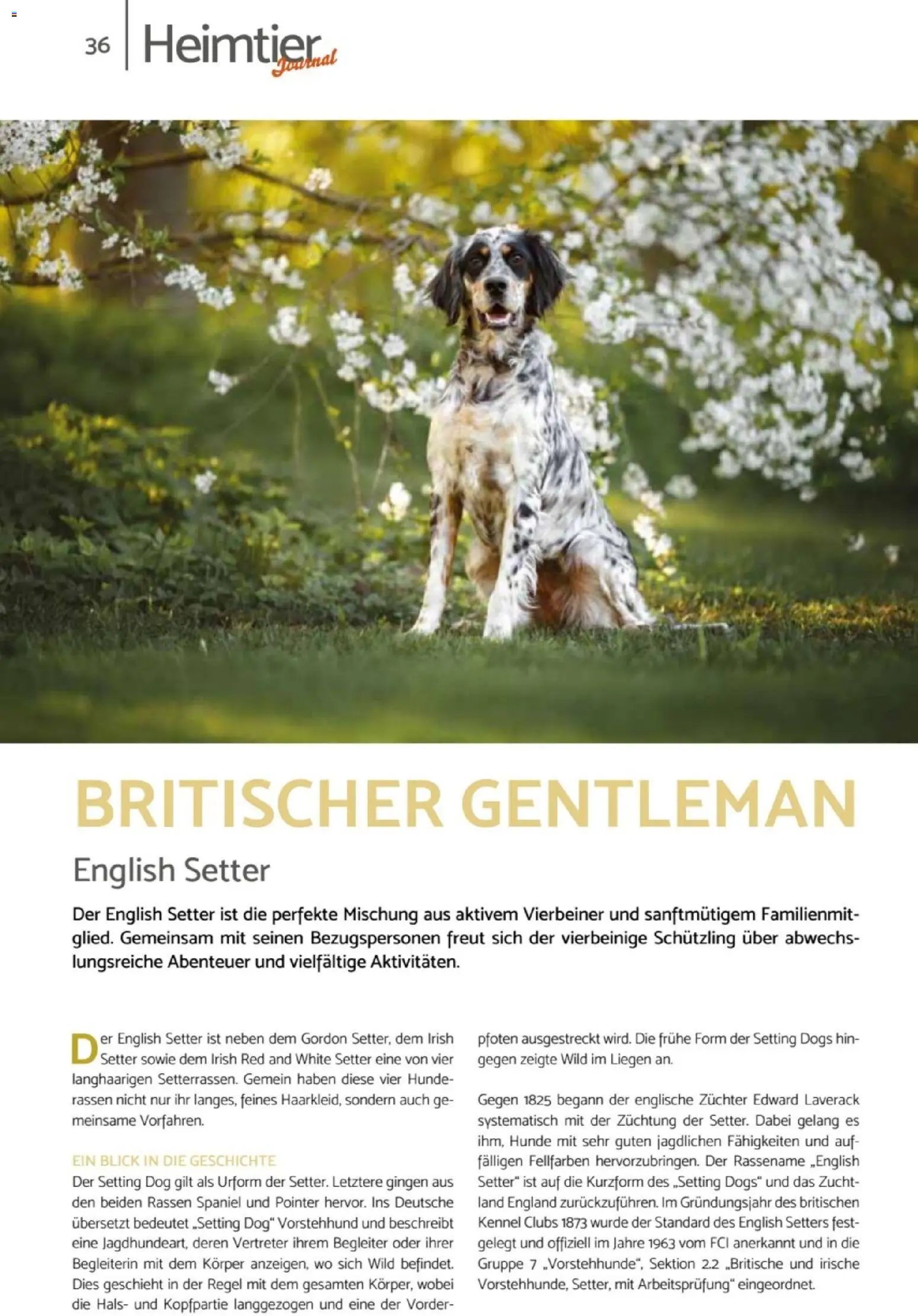 zookauf Heimtier Journal