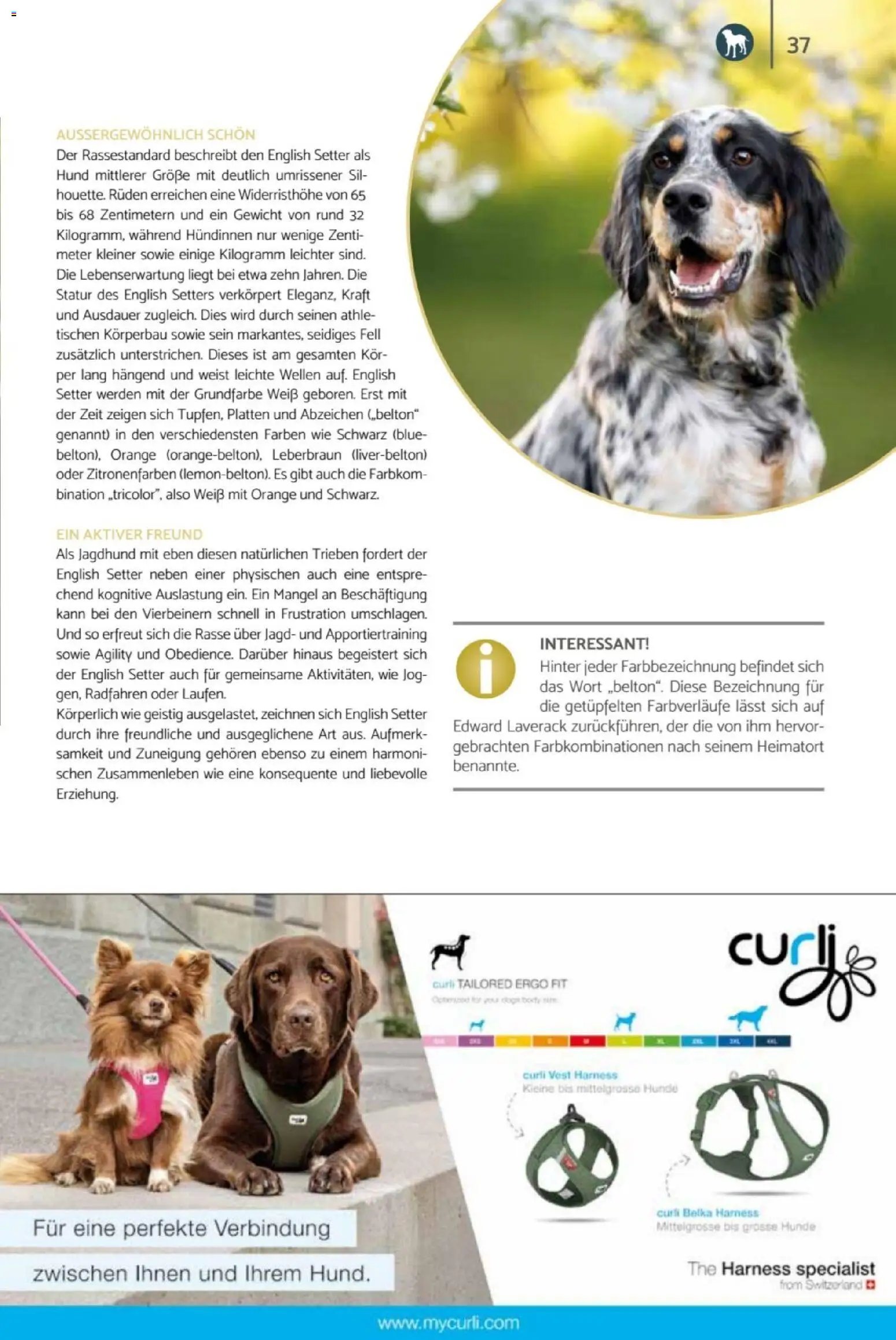 zookauf Heimtier Journal