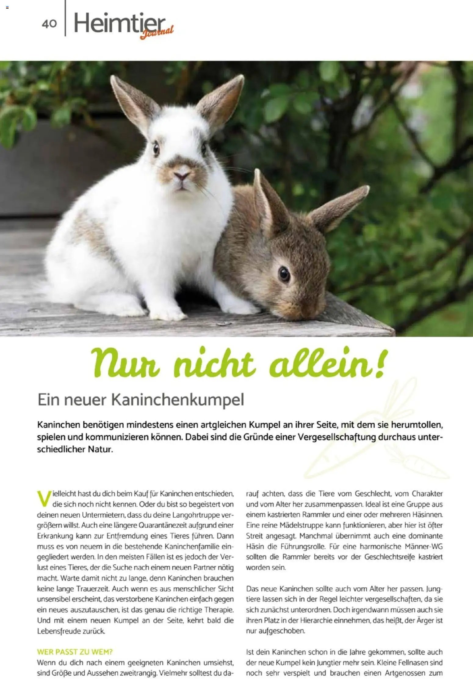 zookauf Heimtier Journal