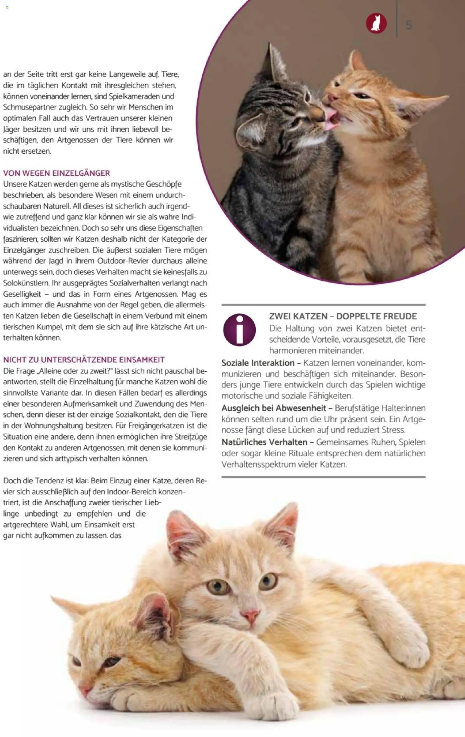 zookauf Heimtier Journal