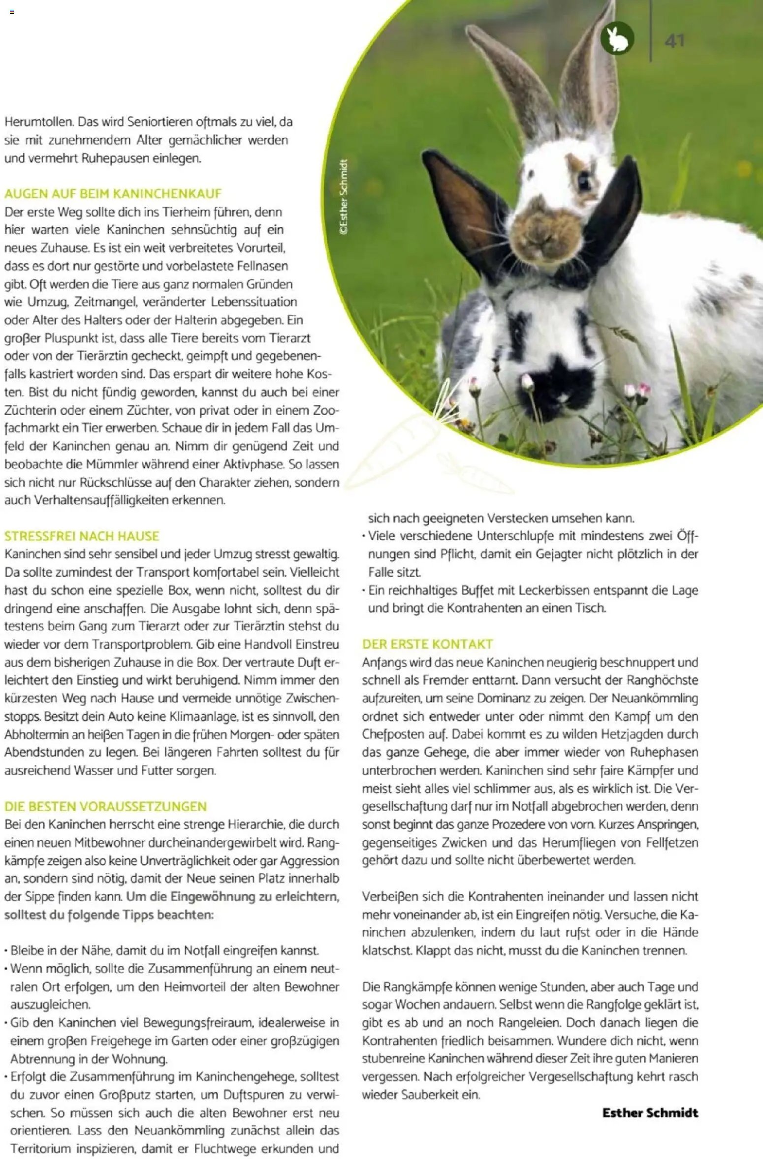 zookauf Heimtier Journal