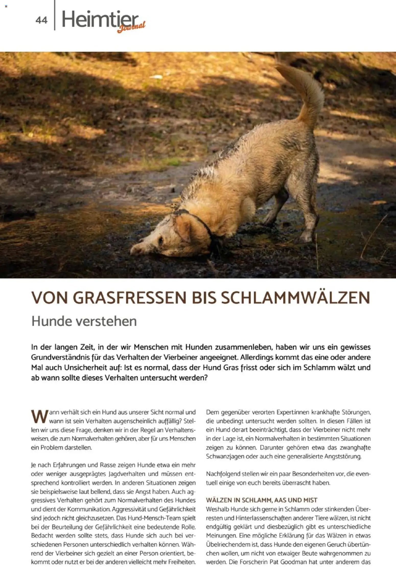 zookauf Heimtier Journal