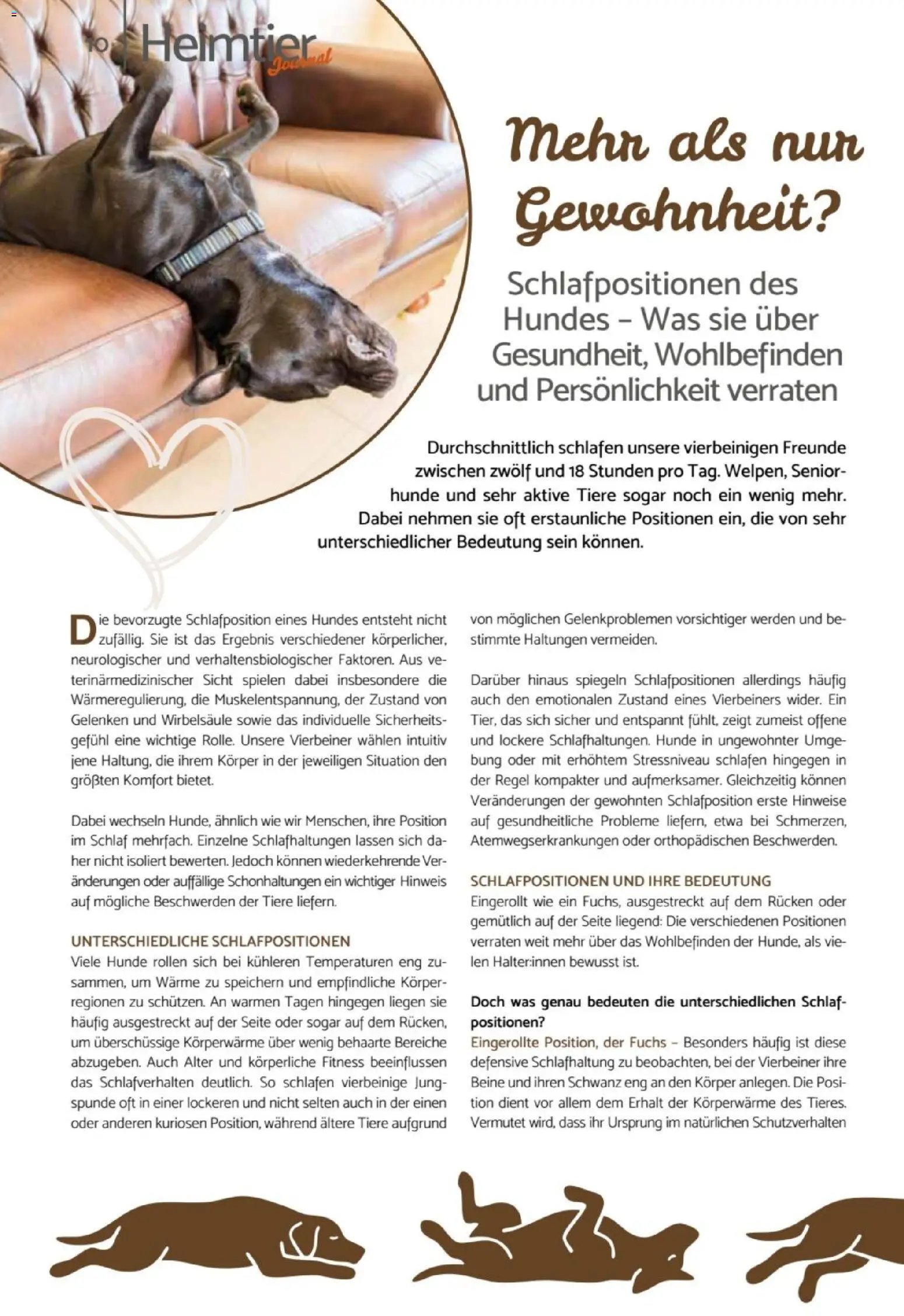 zookauf Heimtier Journal