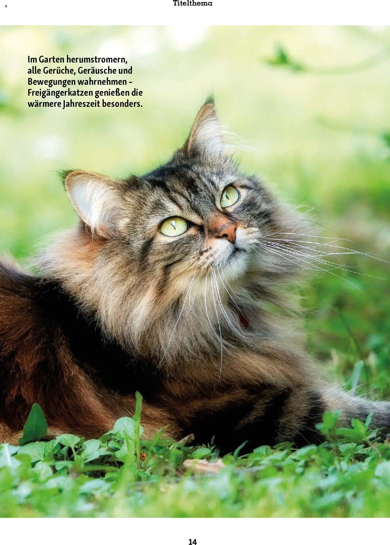 Fressnapf Friends Magazin (2026-05-01 - 2026-06-30)