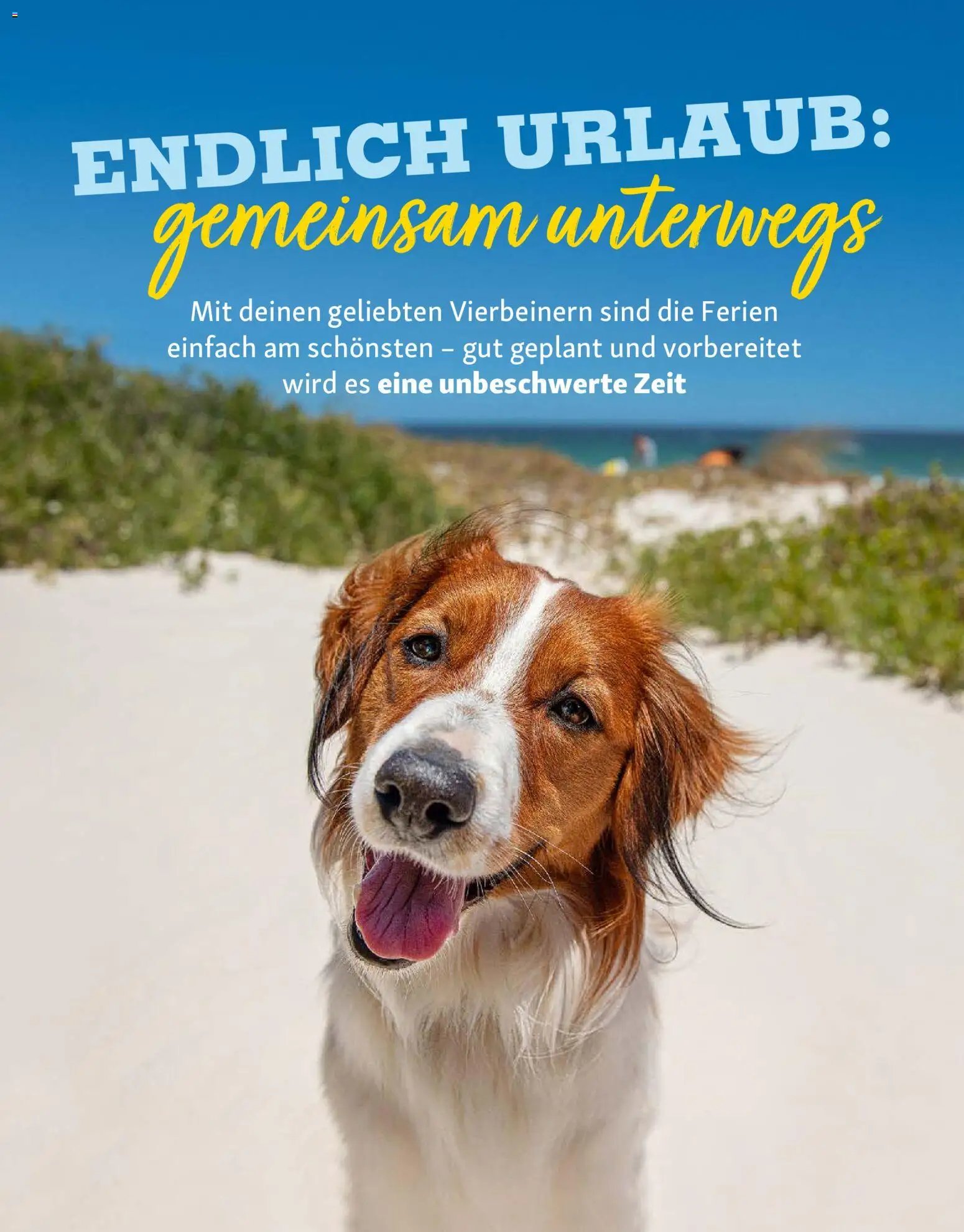 Fressnapf Friends Magazin (2026-05-01 - 2026-06-30)