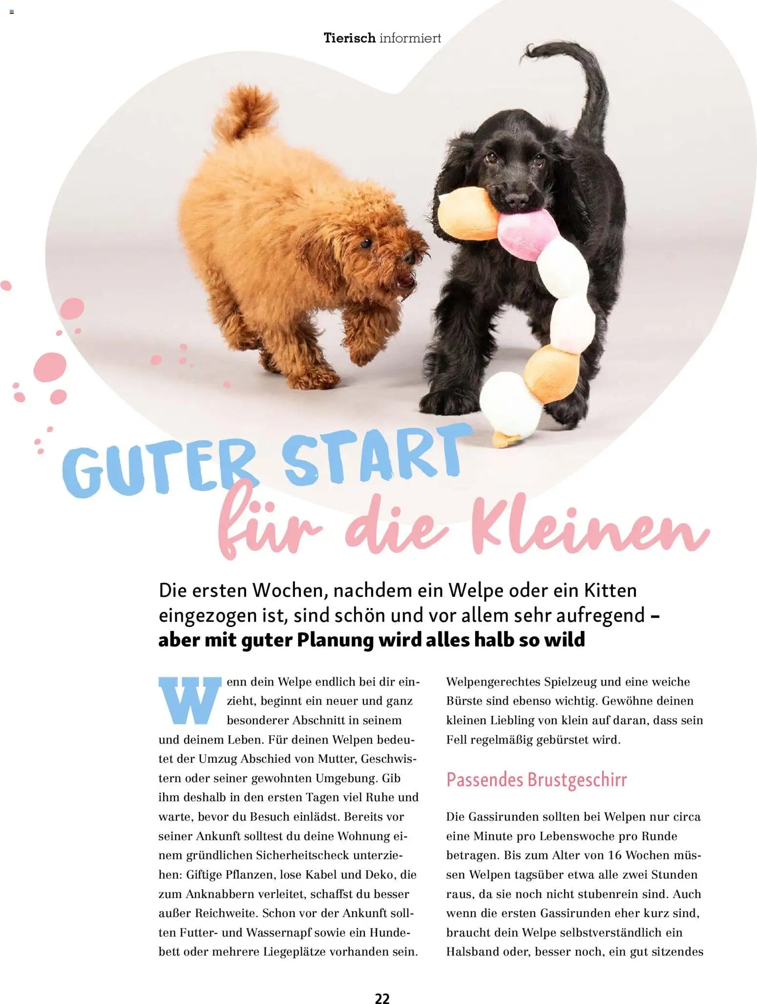Fressnapf Friends Magazin (2026-05-01 - 2026-06-30)