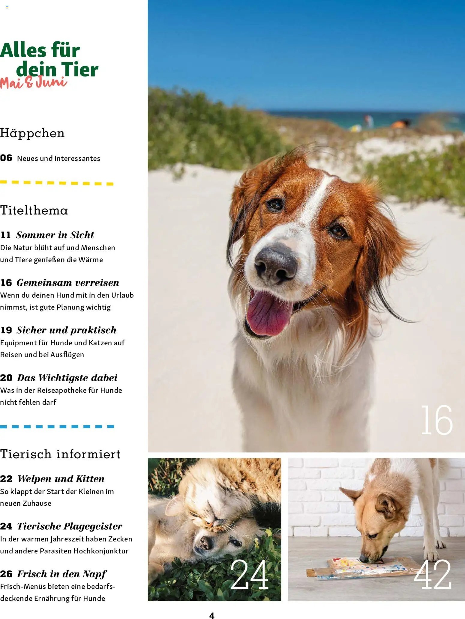 Fressnapf Friends Magazin (2026-05-01 - 2026-06-30)