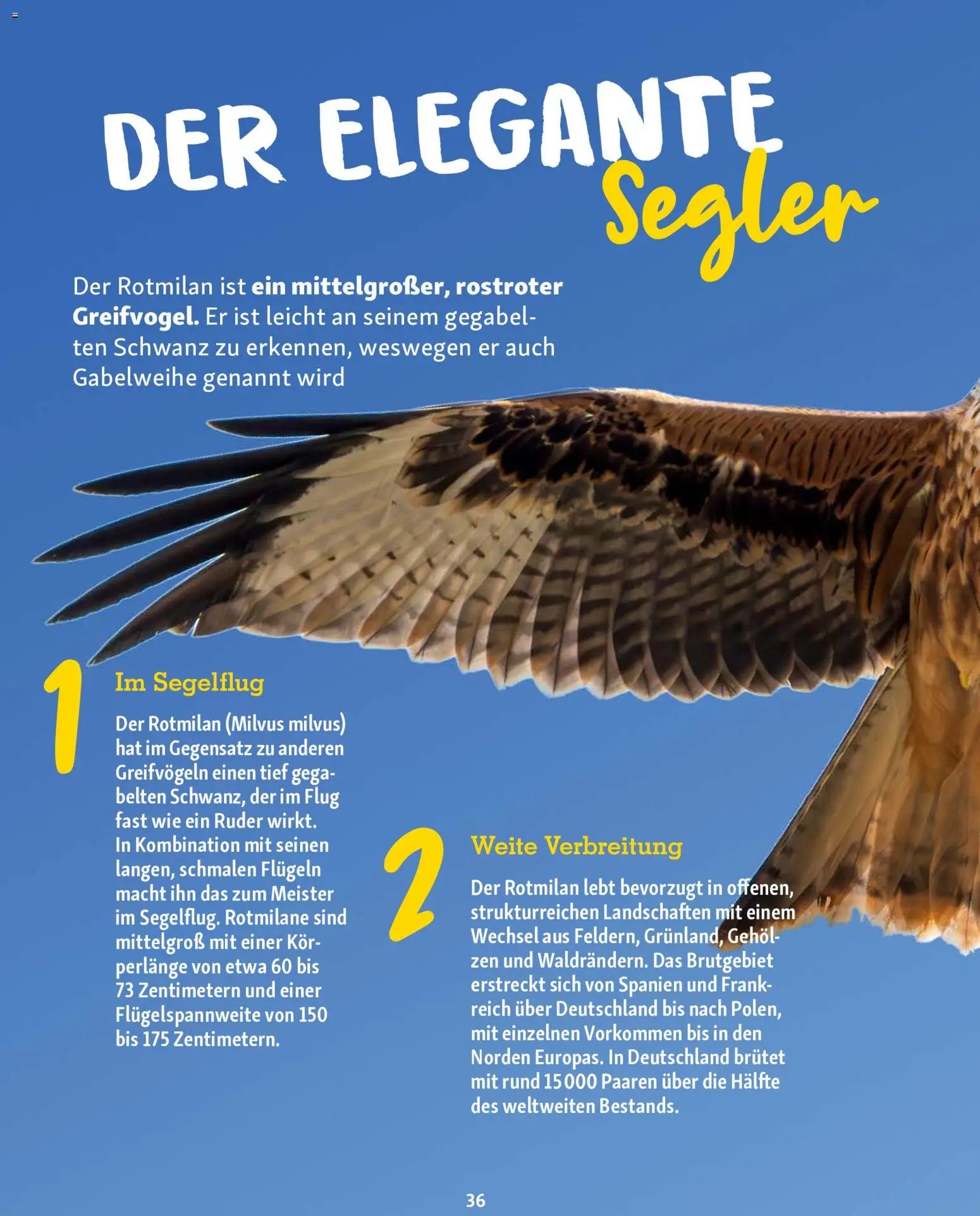 Fressnapf Friends Magazin (2026-05-01 - 2026-06-30)