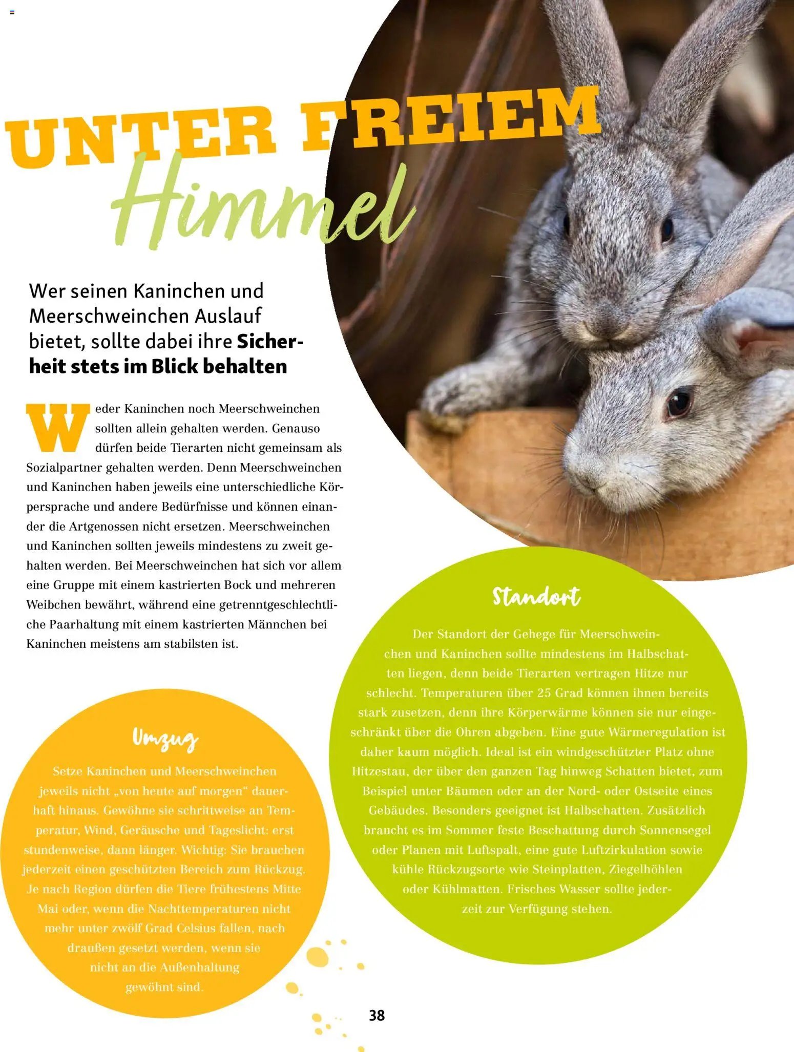 Fressnapf Friends Magazin (2026-05-01 - 2026-06-30)