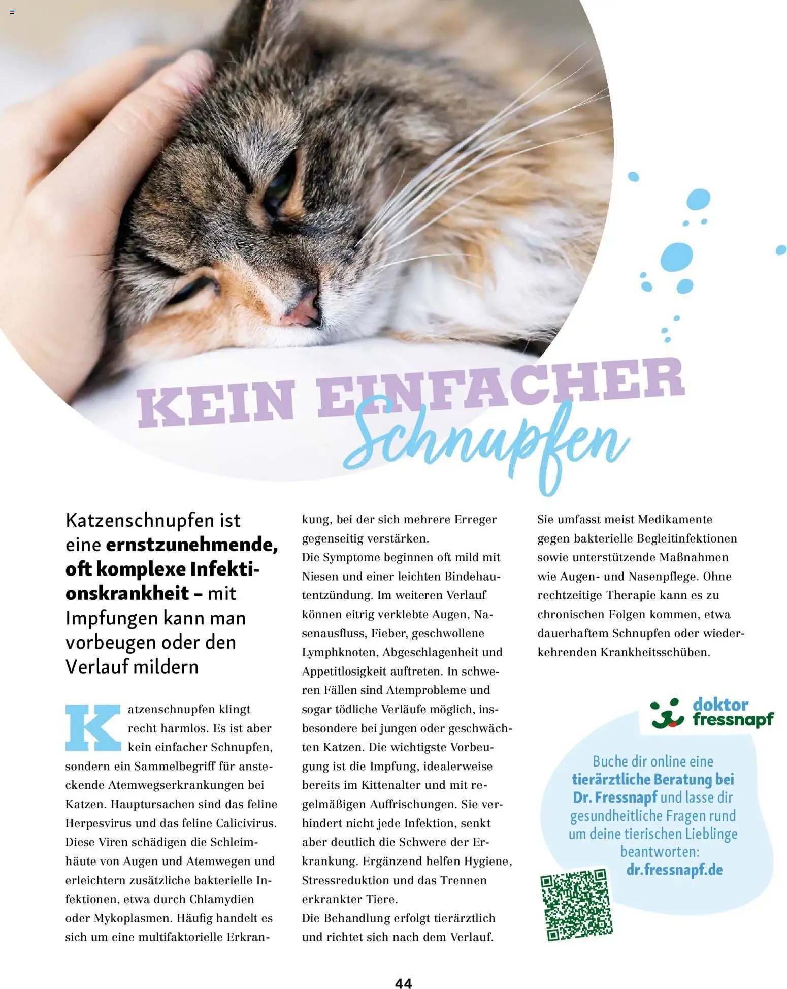 Fressnapf Friends Magazin (2026-05-01 - 2026-06-30)