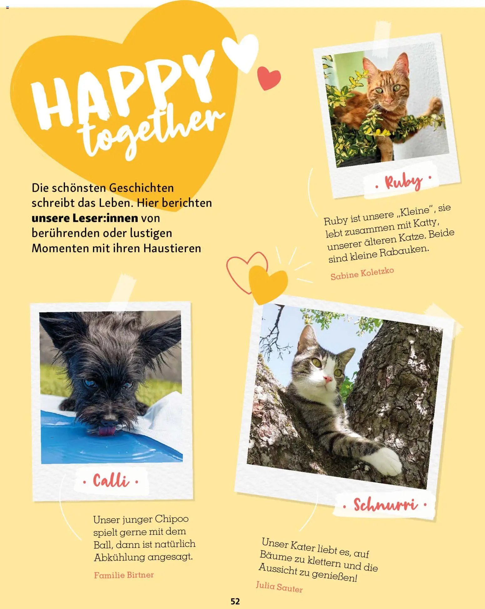 Fressnapf Friends Magazin (2026-05-01 - 2026-06-30)