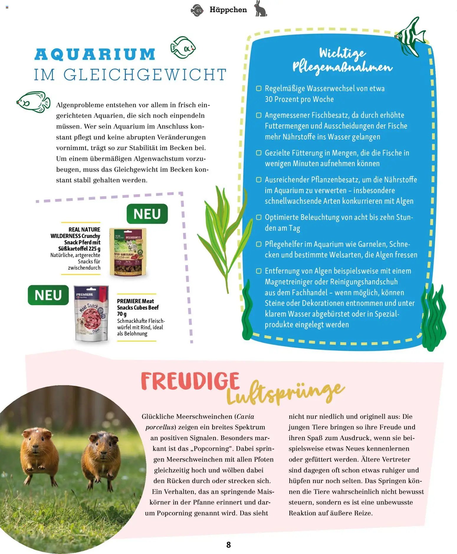 Fressnapf Friends Magazin (2026-05-01 - 2026-06-30)