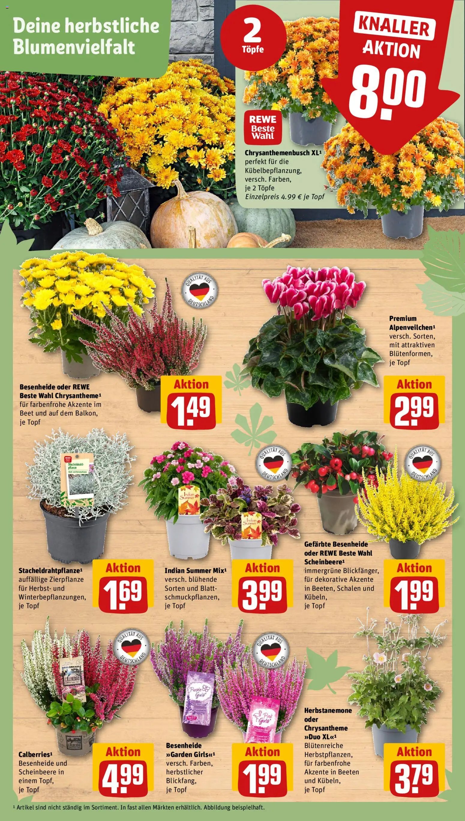 Rewe ihr Kaufpark Prospekt
