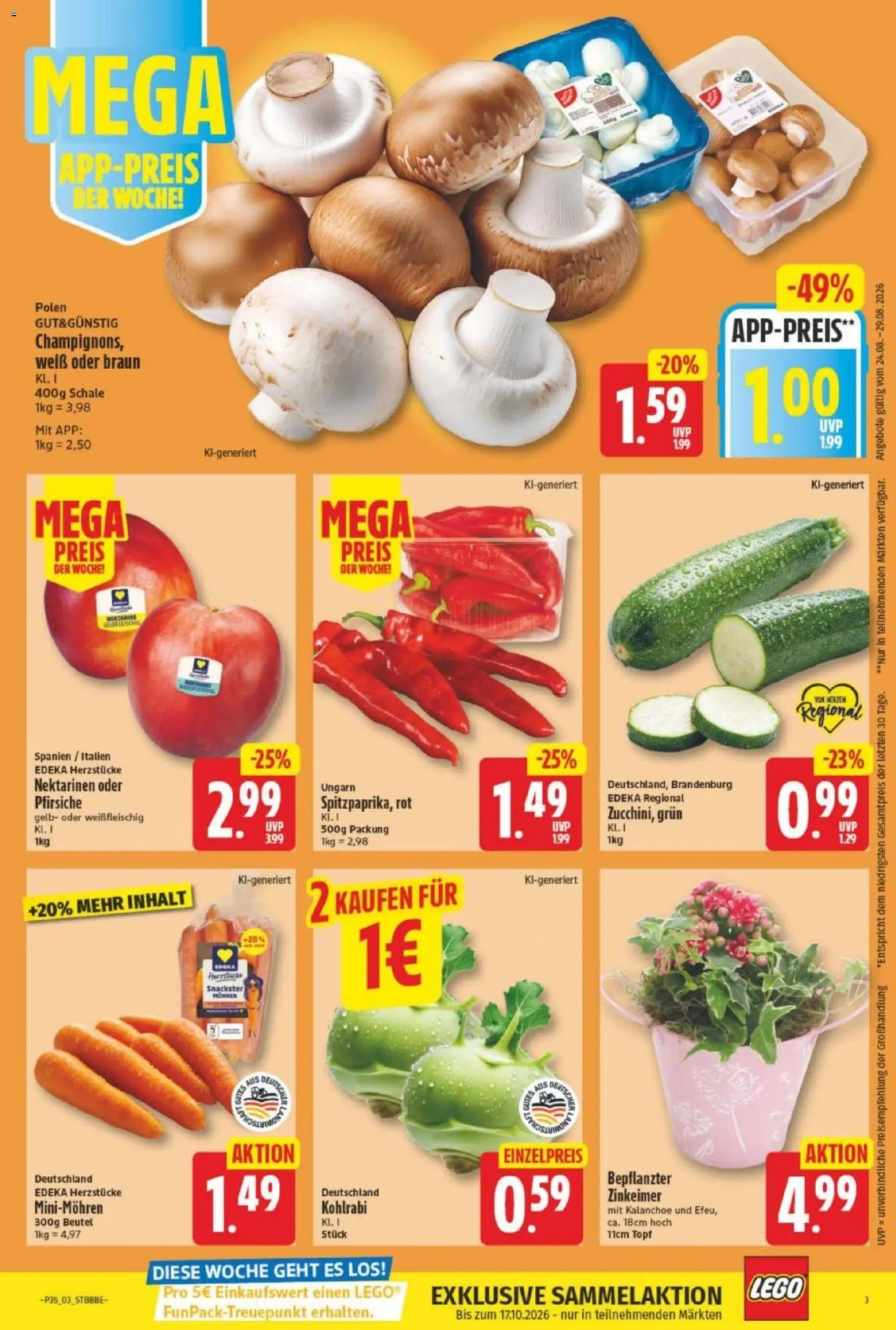 NP Discount - Blaetterkatalog
