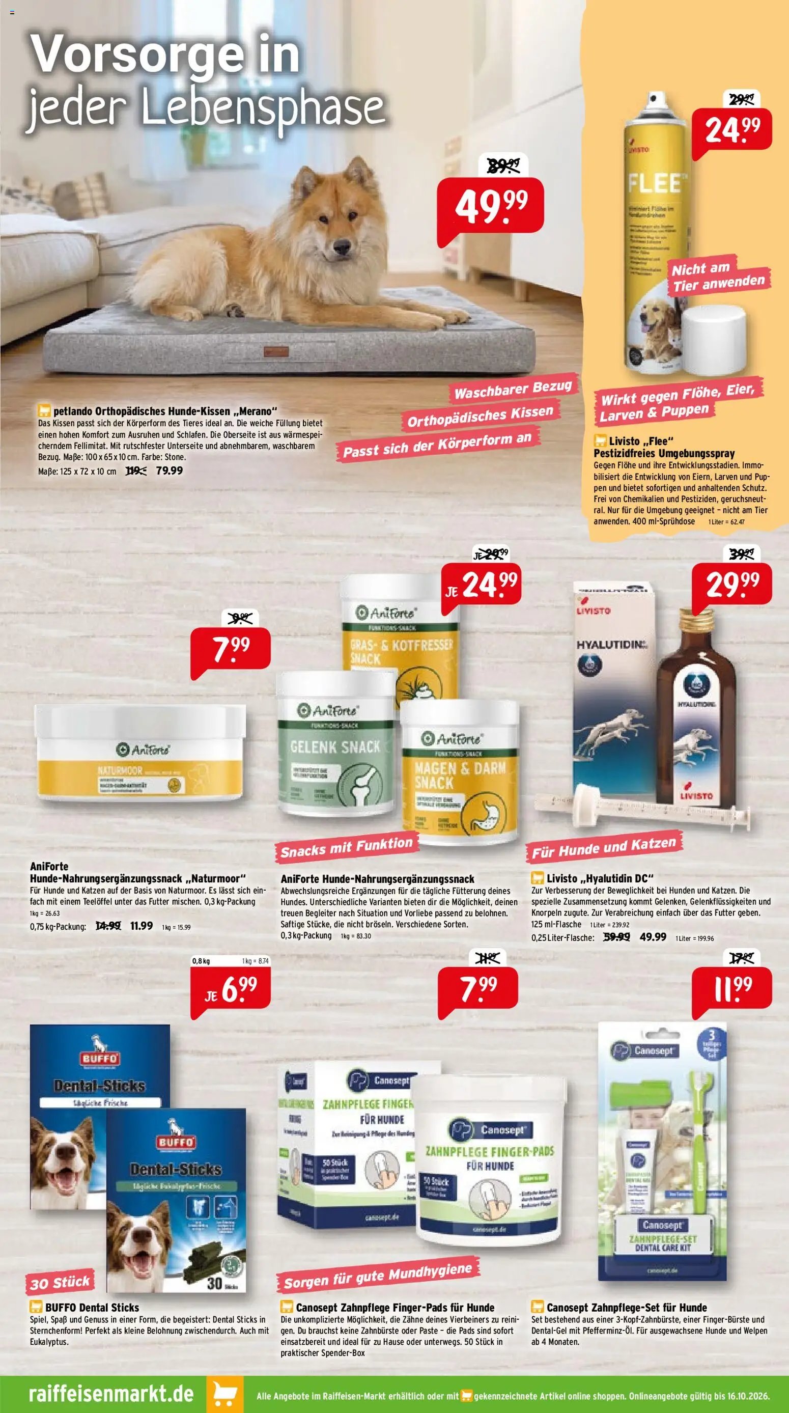 Raiffeisen Markt Prospekt