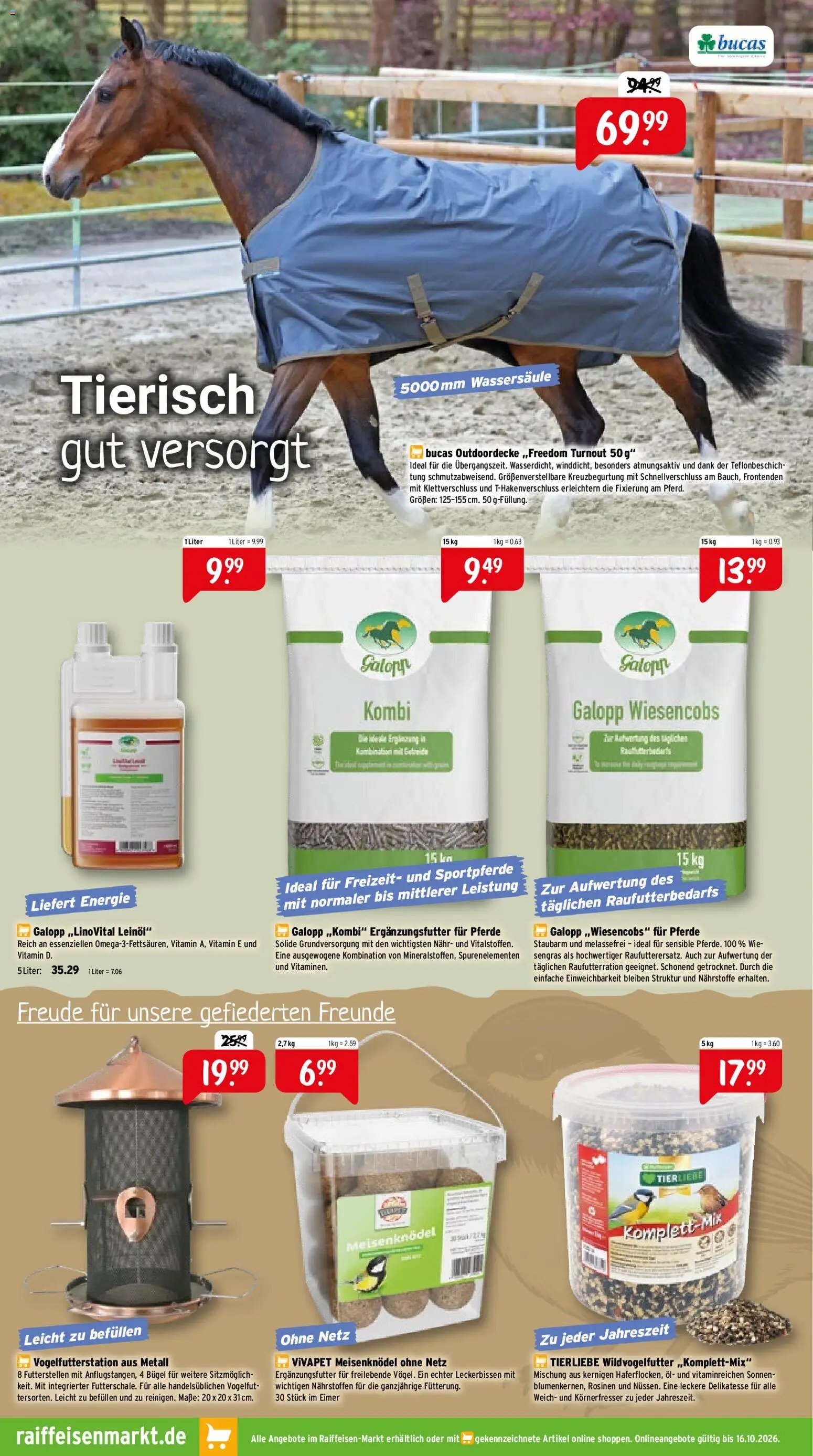 Raiffeisen Markt Prospekt