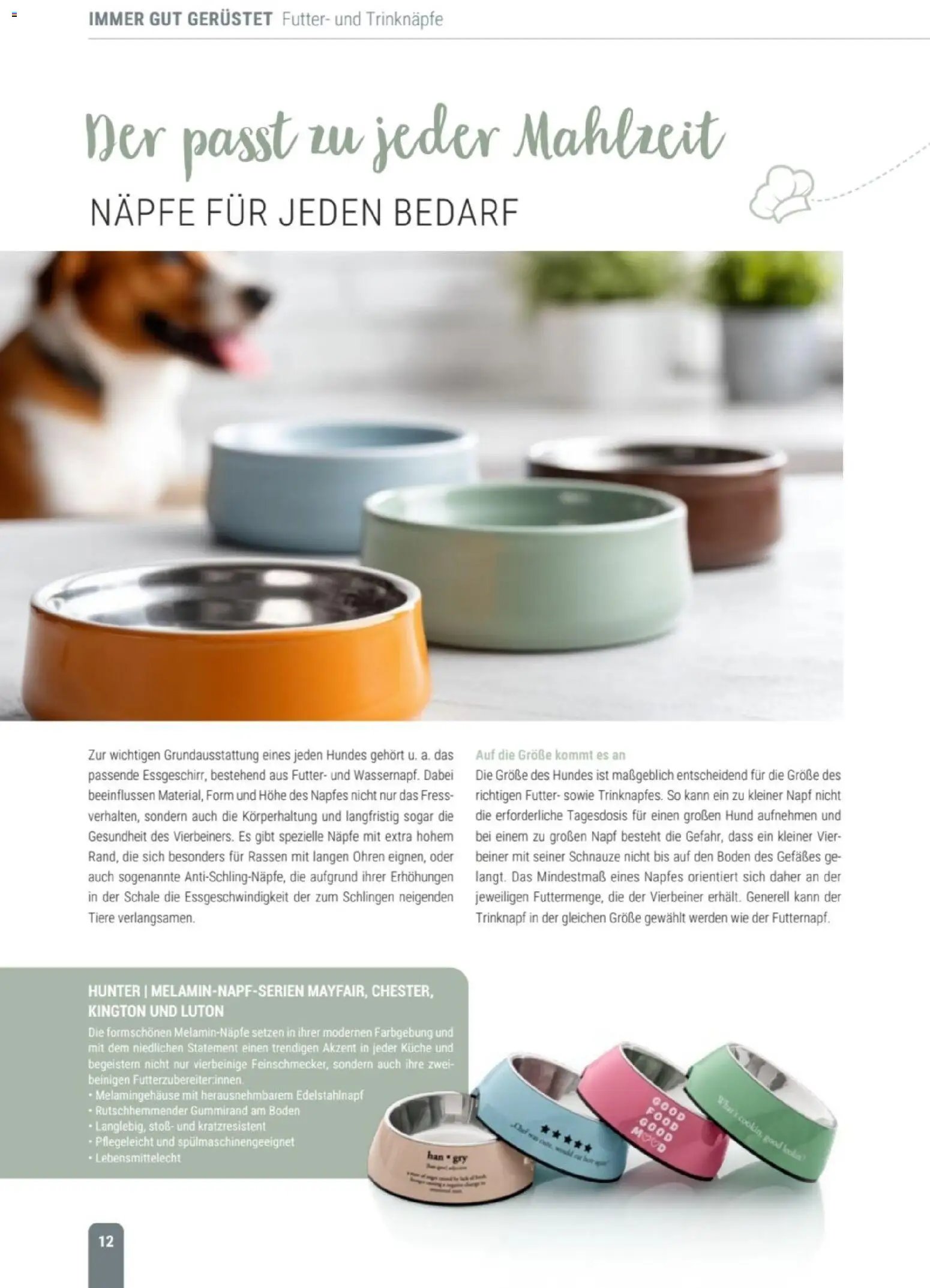 zookauf Themenkatalog Hund