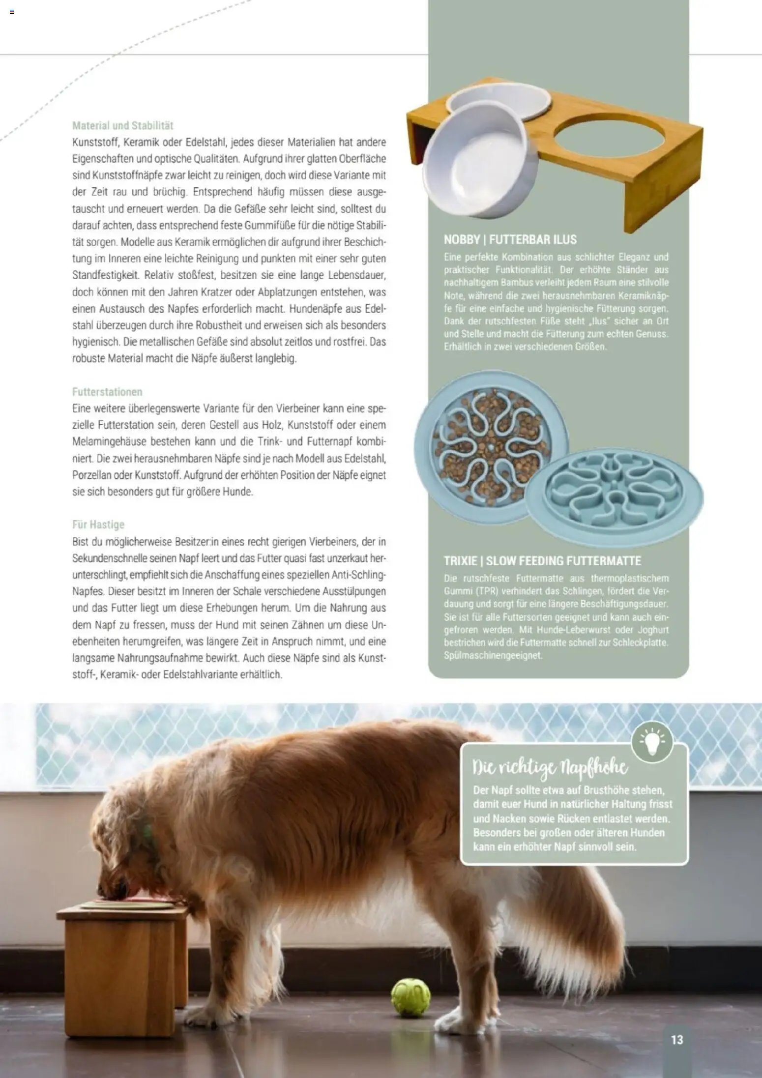 zookauf Themenkatalog Hund