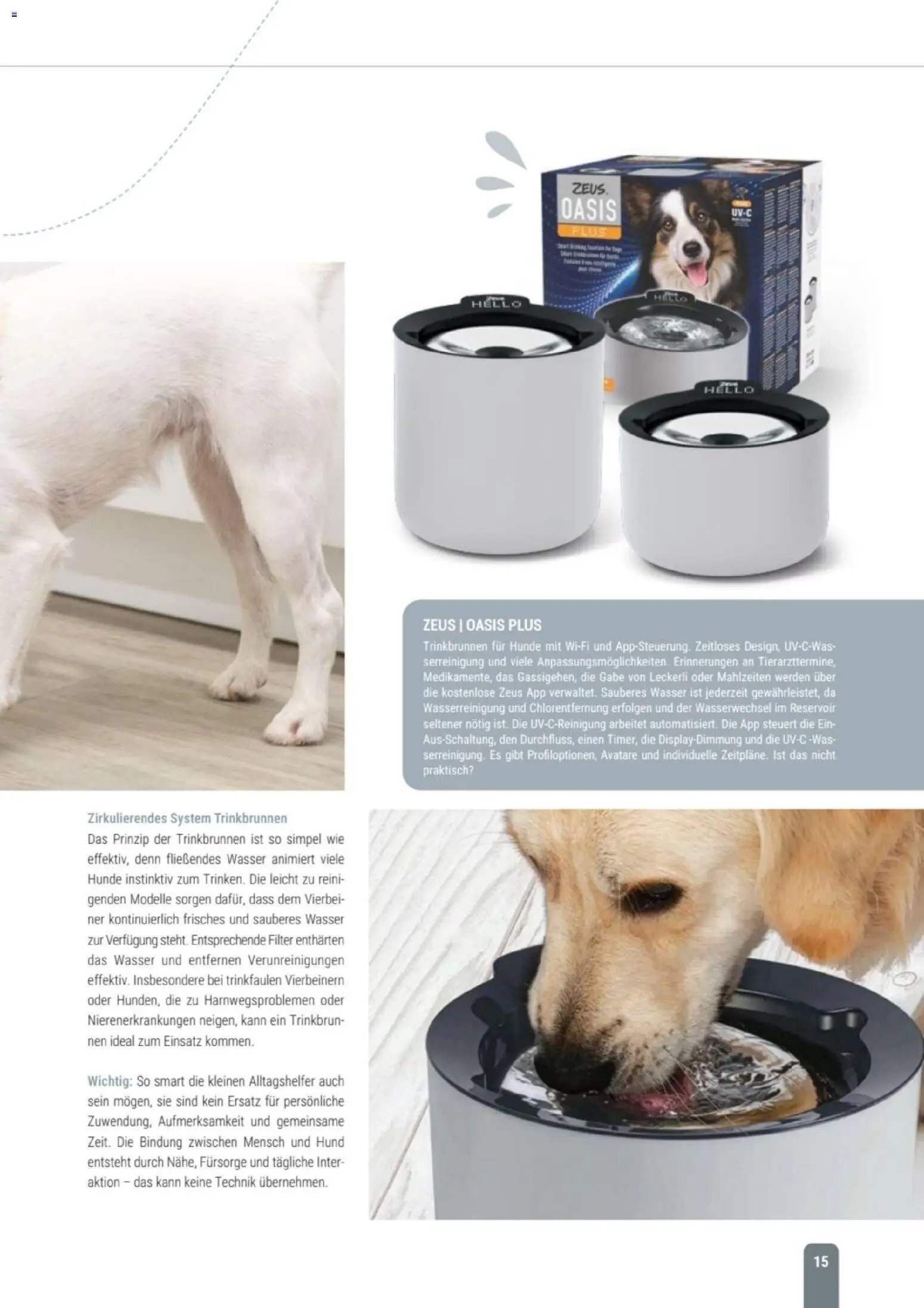 zookauf Themenkatalog Hund